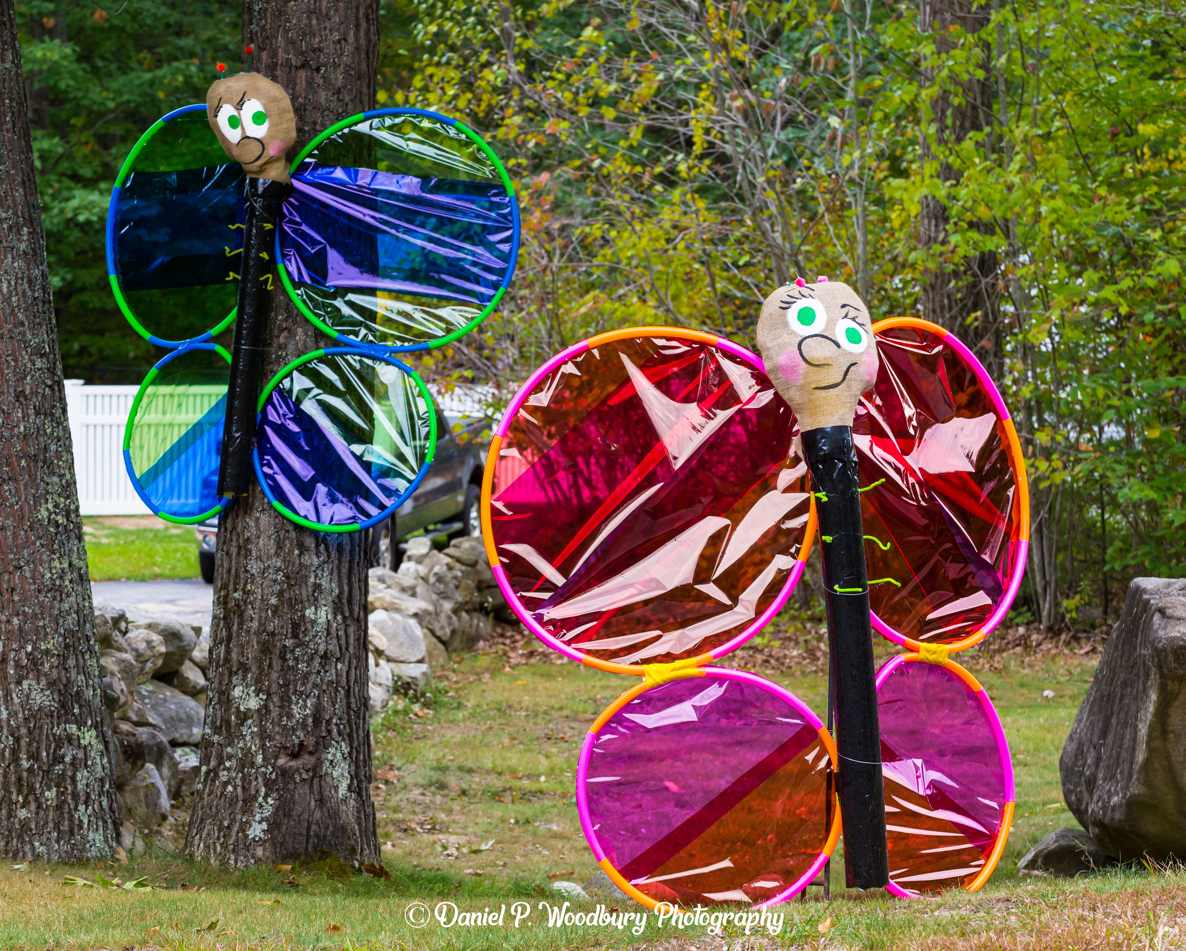 Butterfly Scarecrows