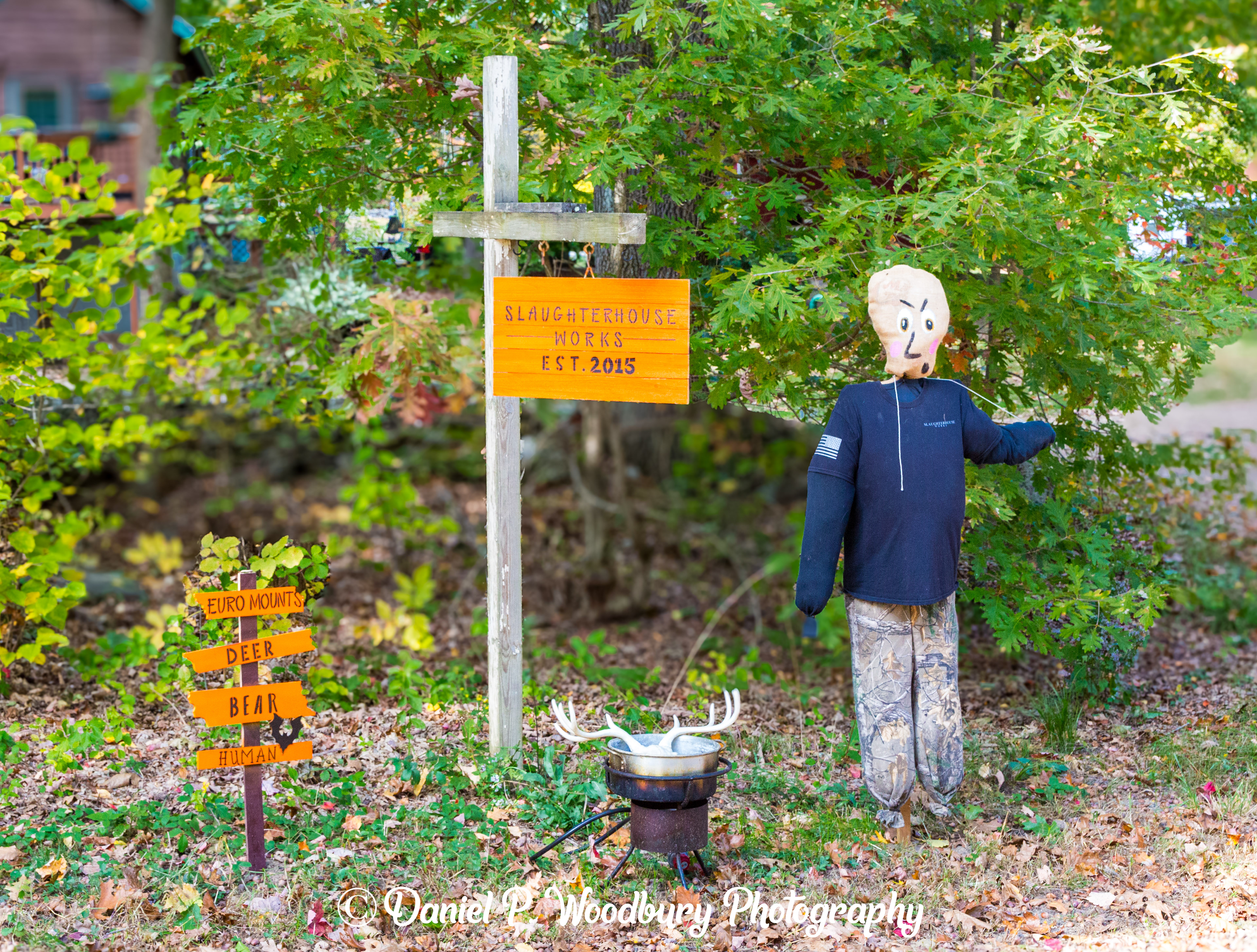 Deer Parts Scarecrow