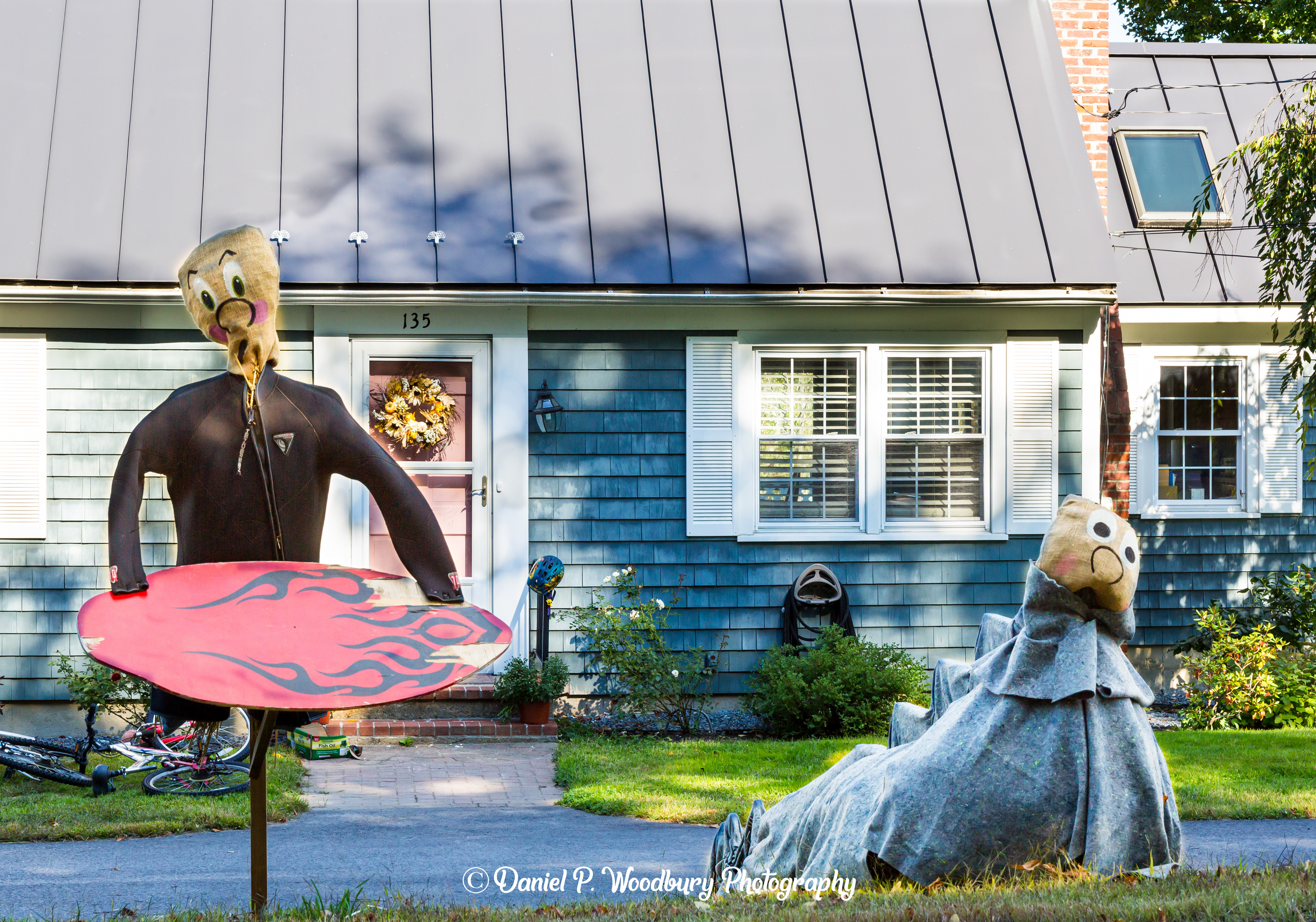 Stegosaurus & Skimboardin' Scarecrows