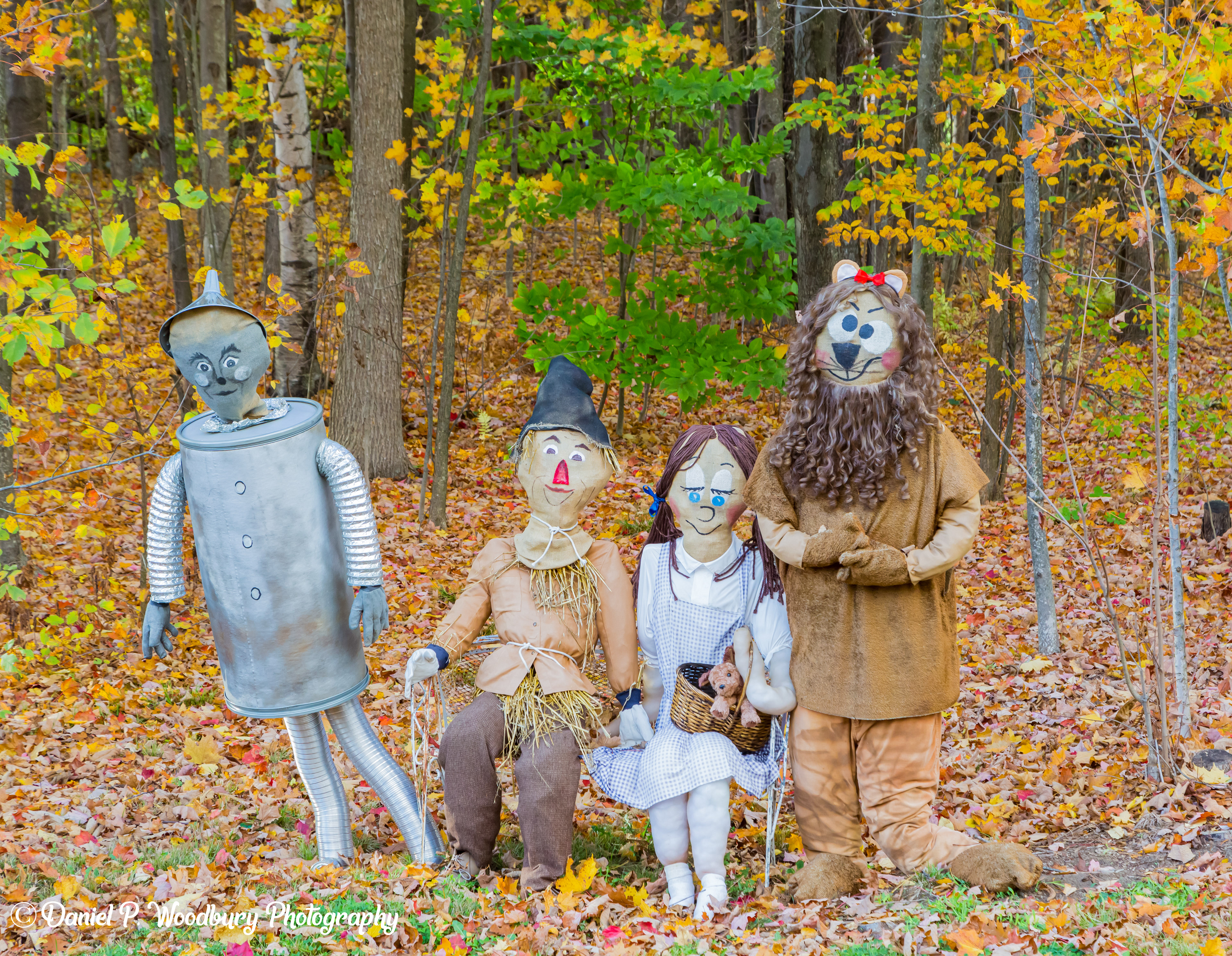 The Wizard Of Oz Scarecrows
