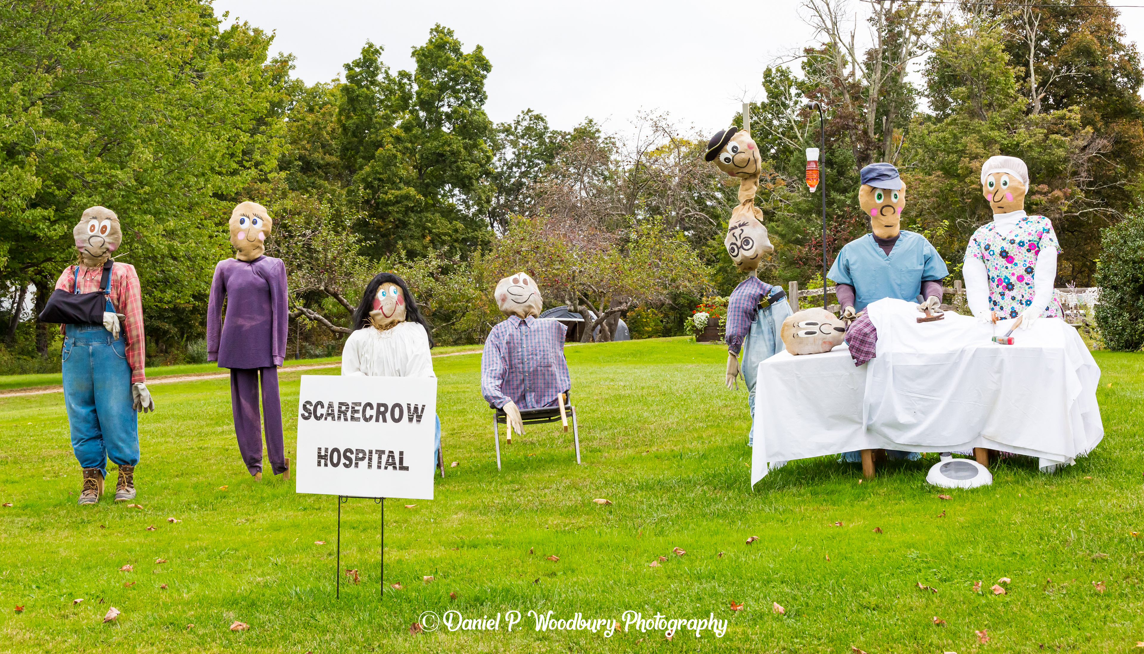 Scarecrow Hospital Scarecrows