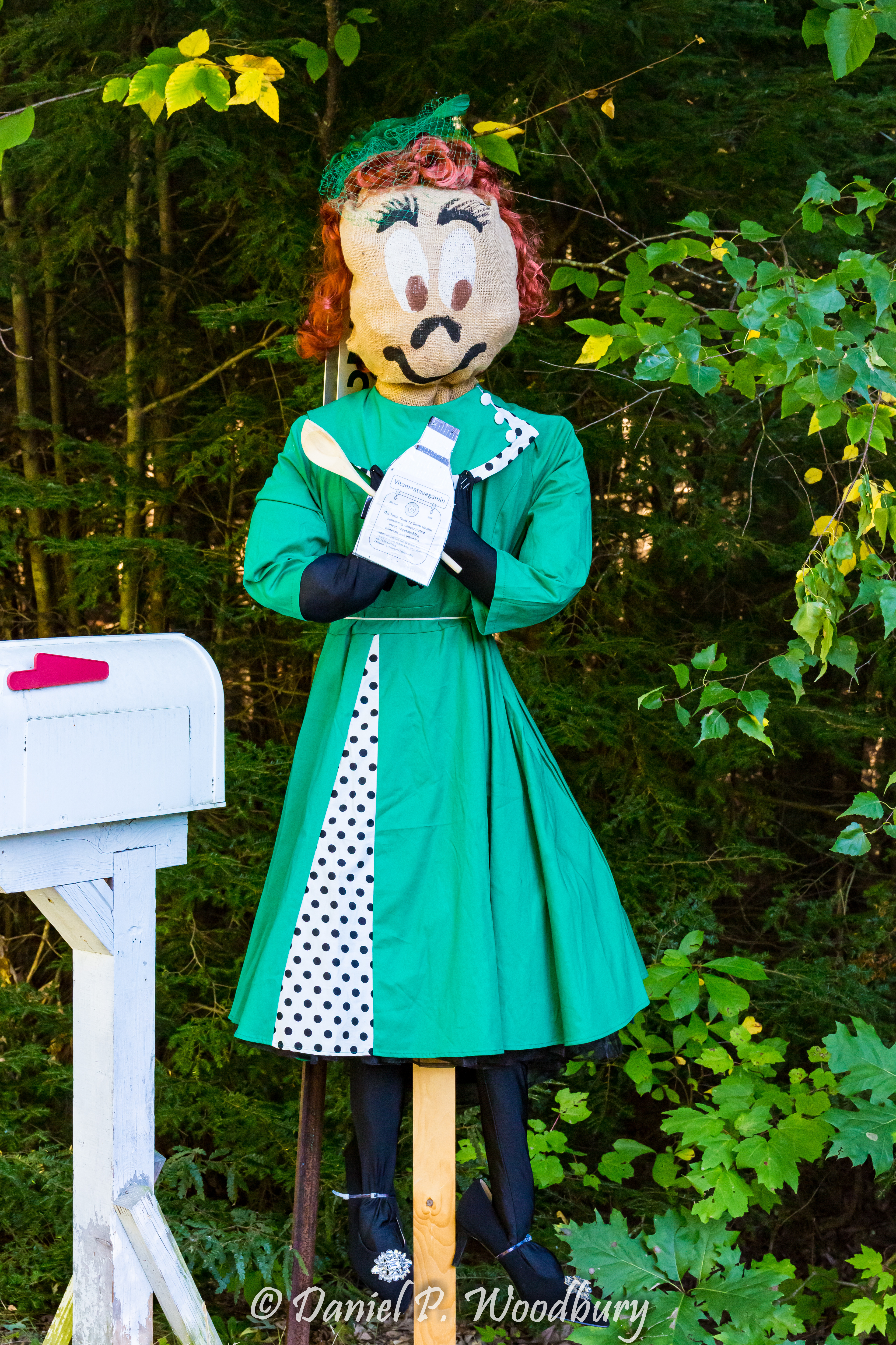 Lovin' Lucy Scarecrow