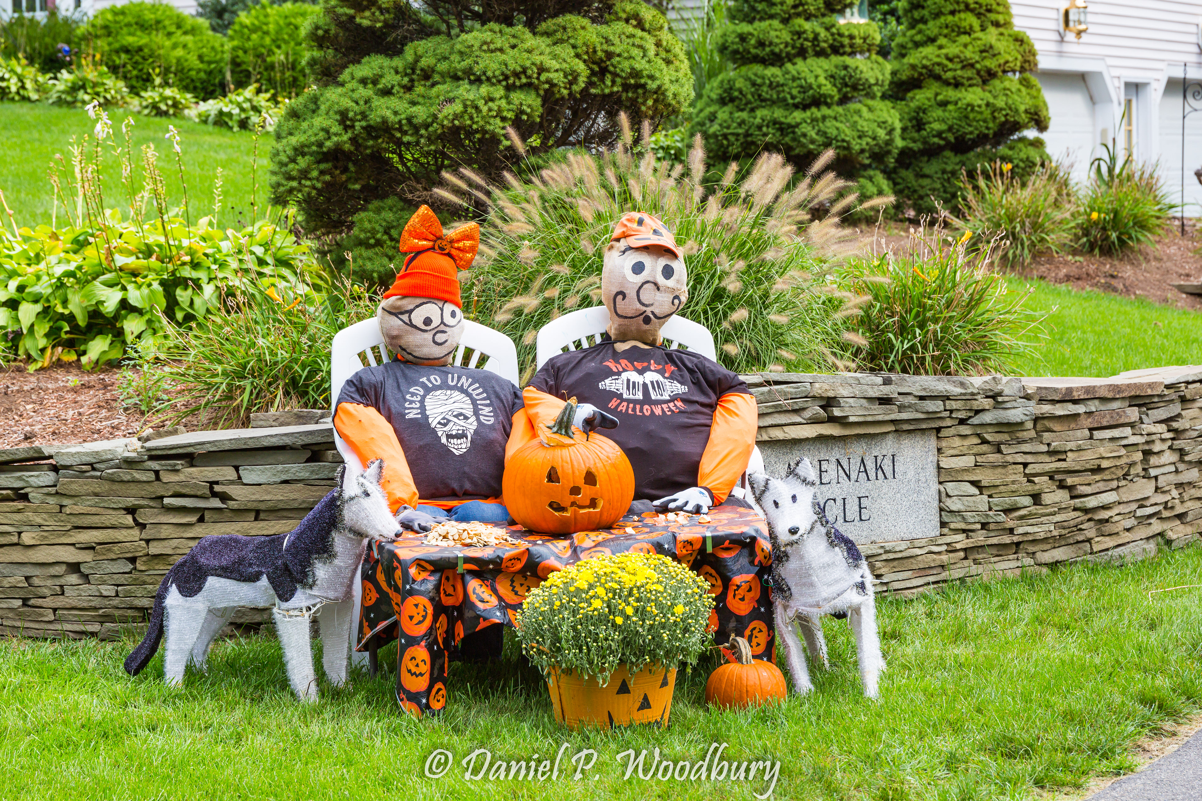 Pumpkin Carvin' Scarecrows