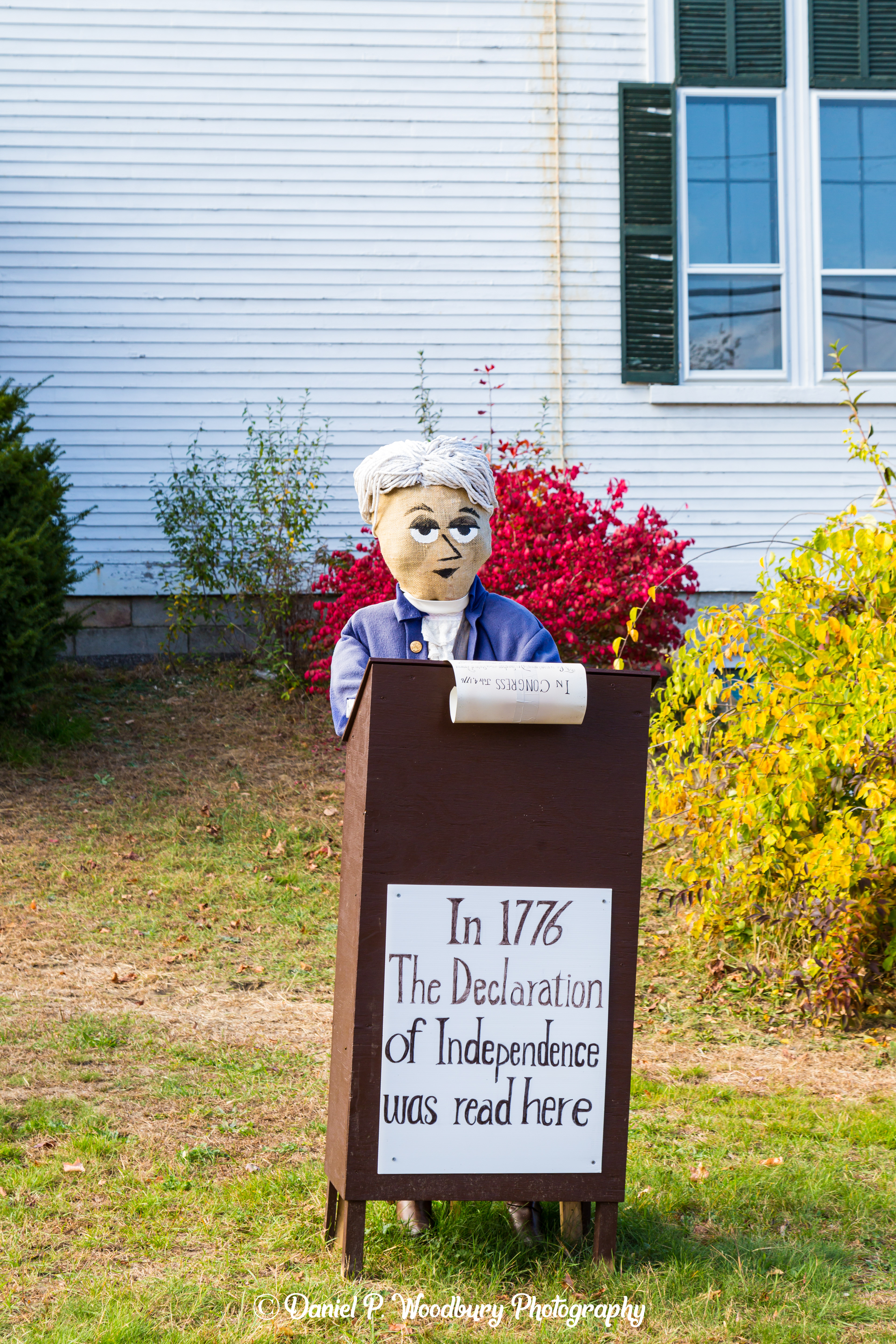 Declarin' Scarecrow