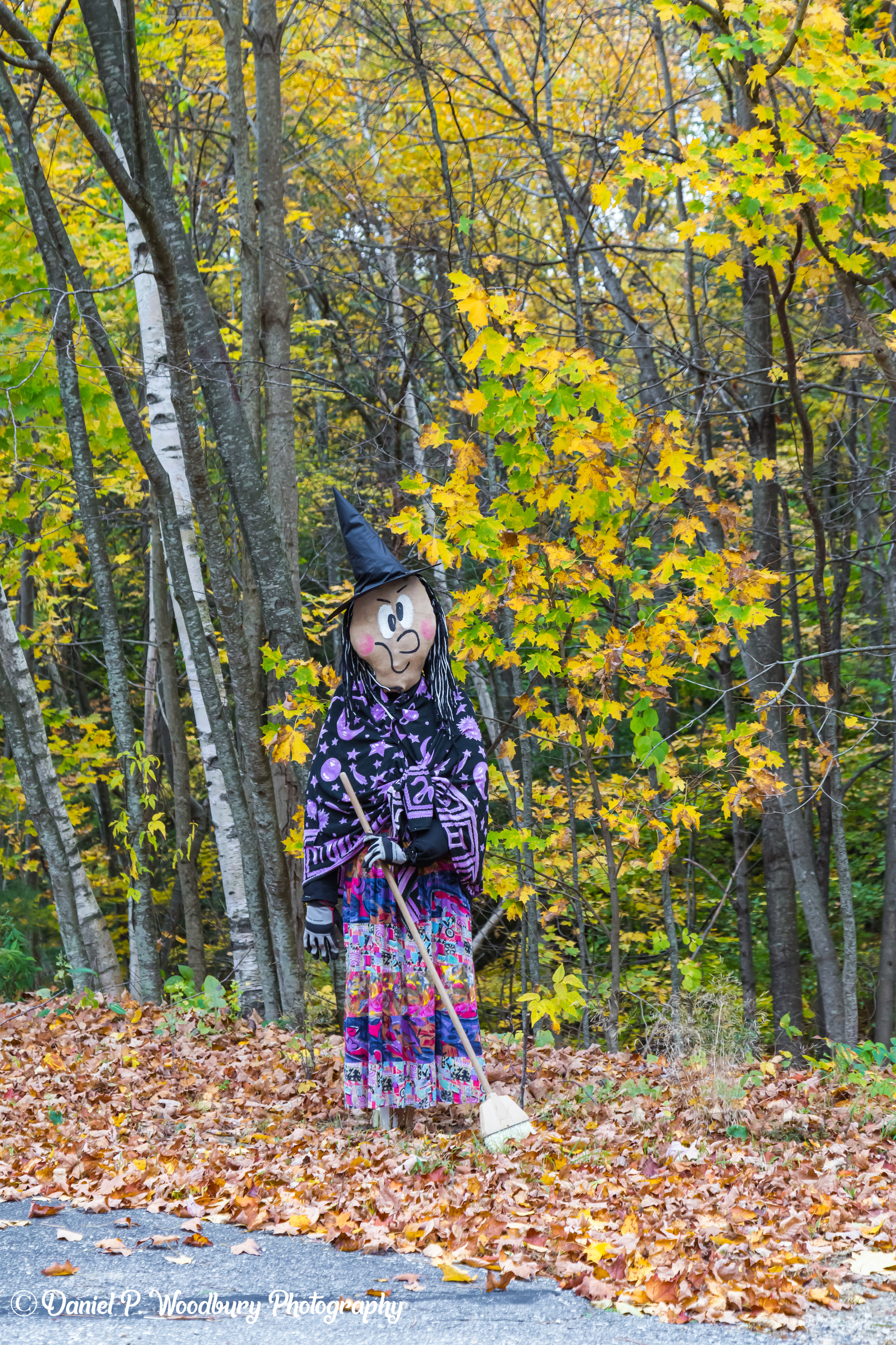 Fashion Witch Scarecrow