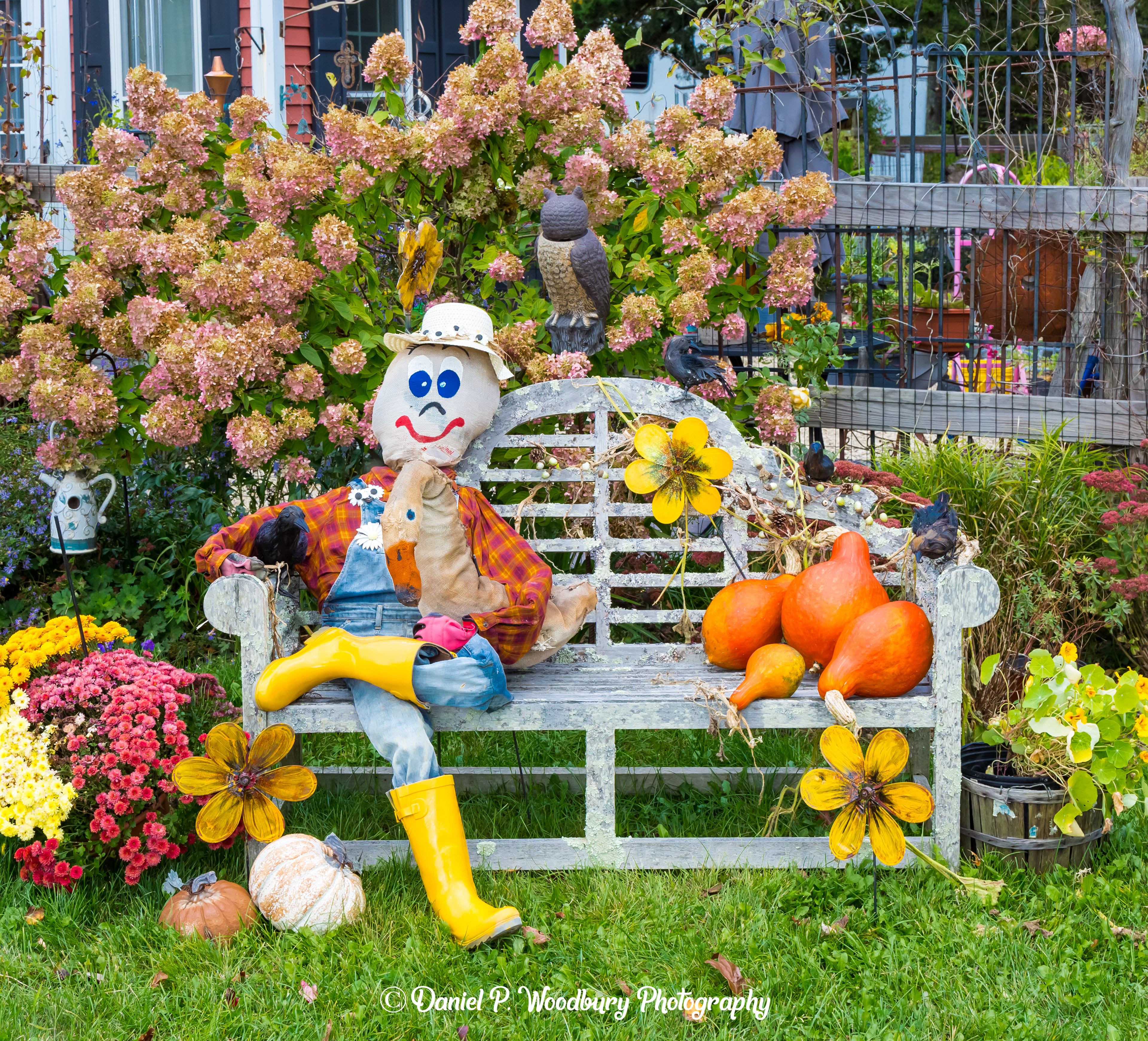 Goose Sittin' Scarecrow