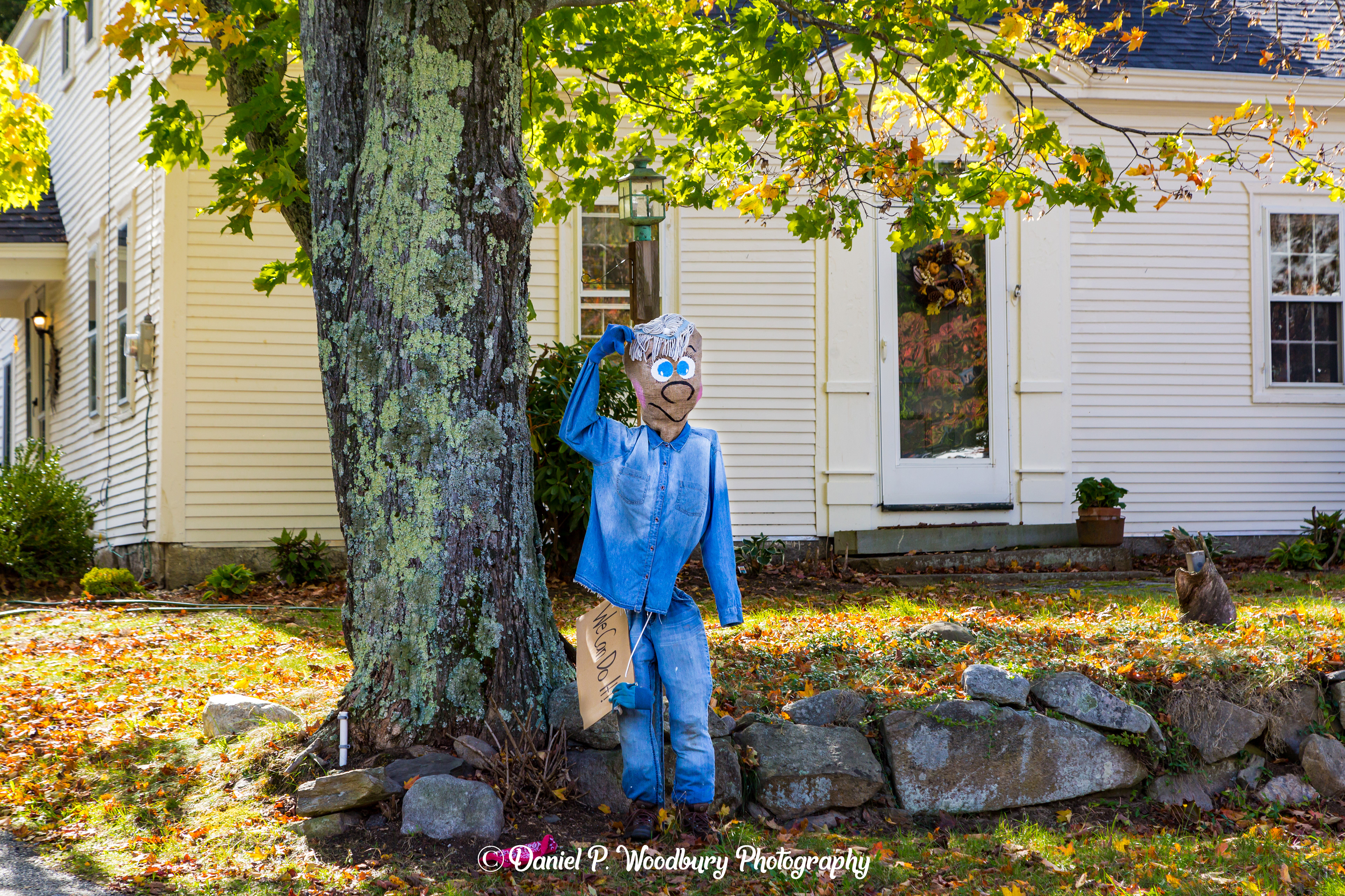 Unfortunate Scarecrow