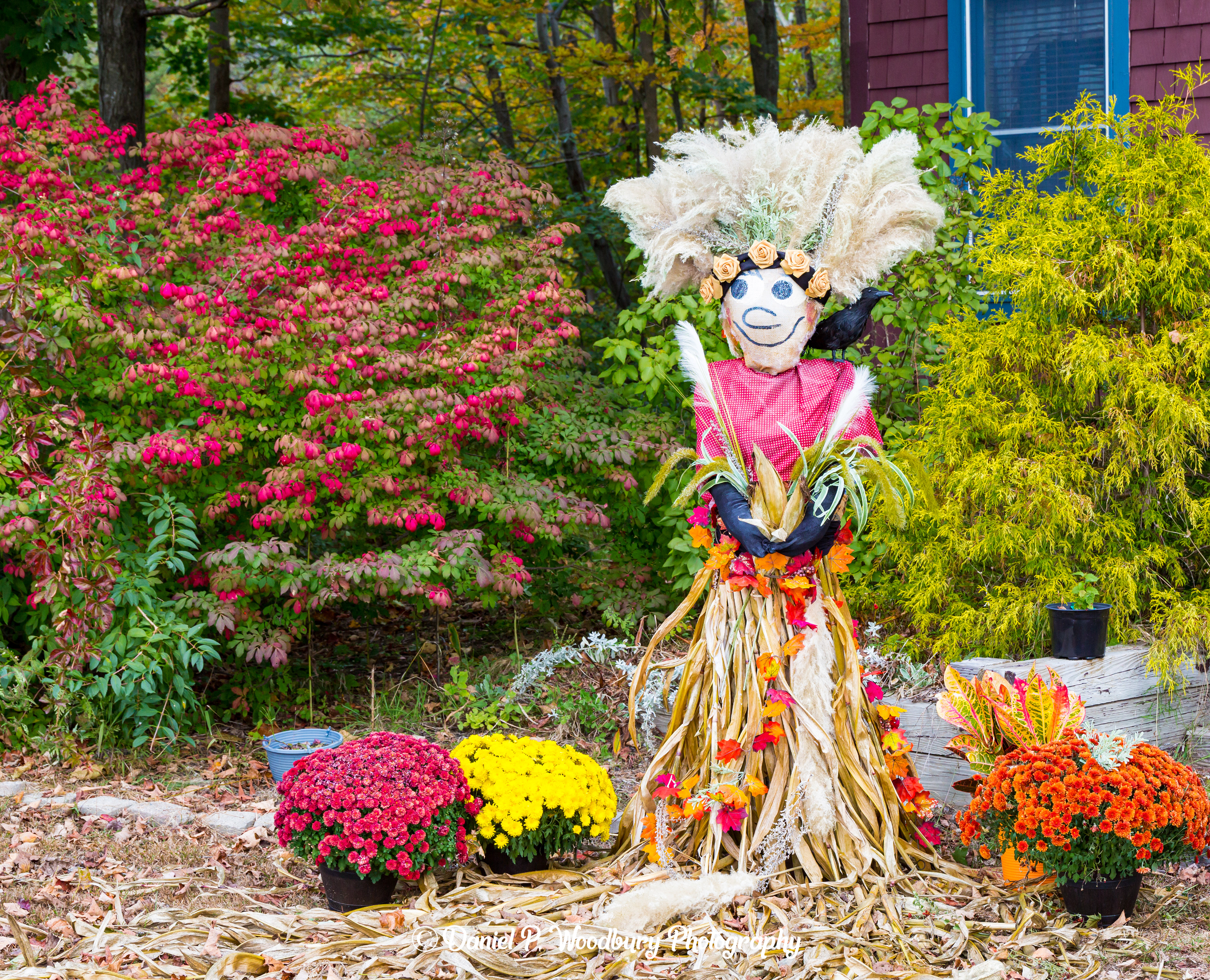 Lady Autumn Scarecrow