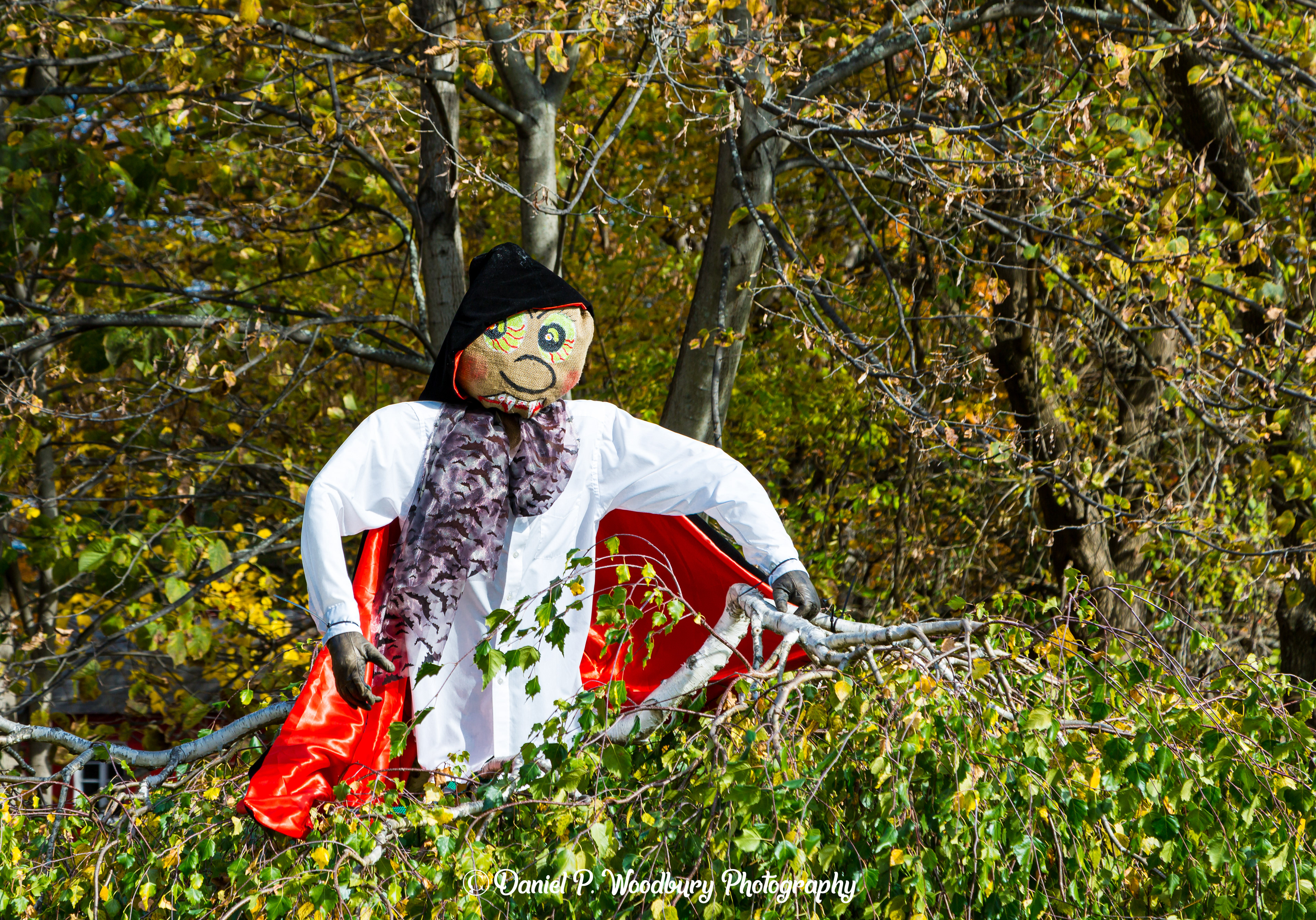 Witch Scarecrow