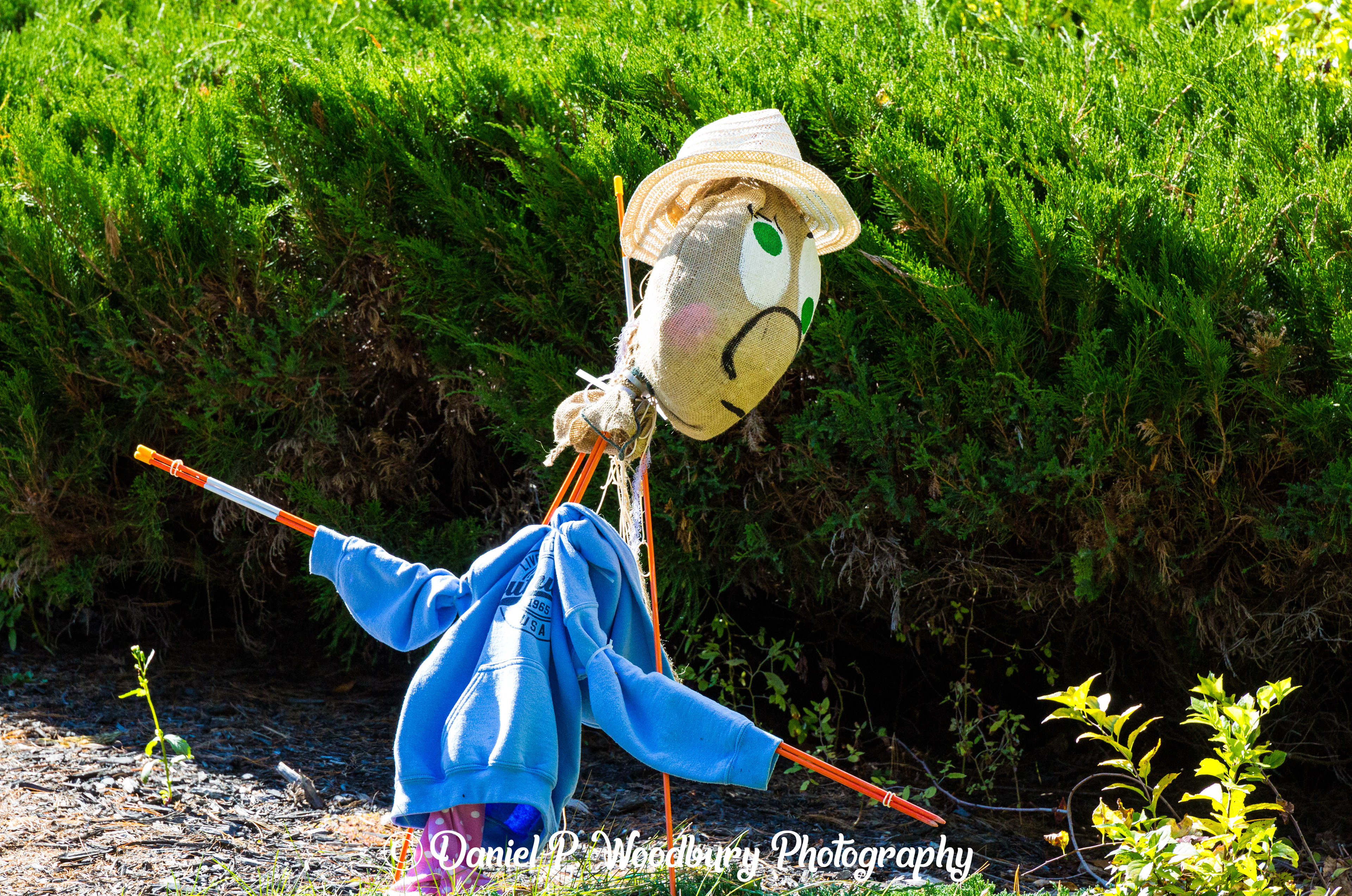 Gardenin' Scarecrow