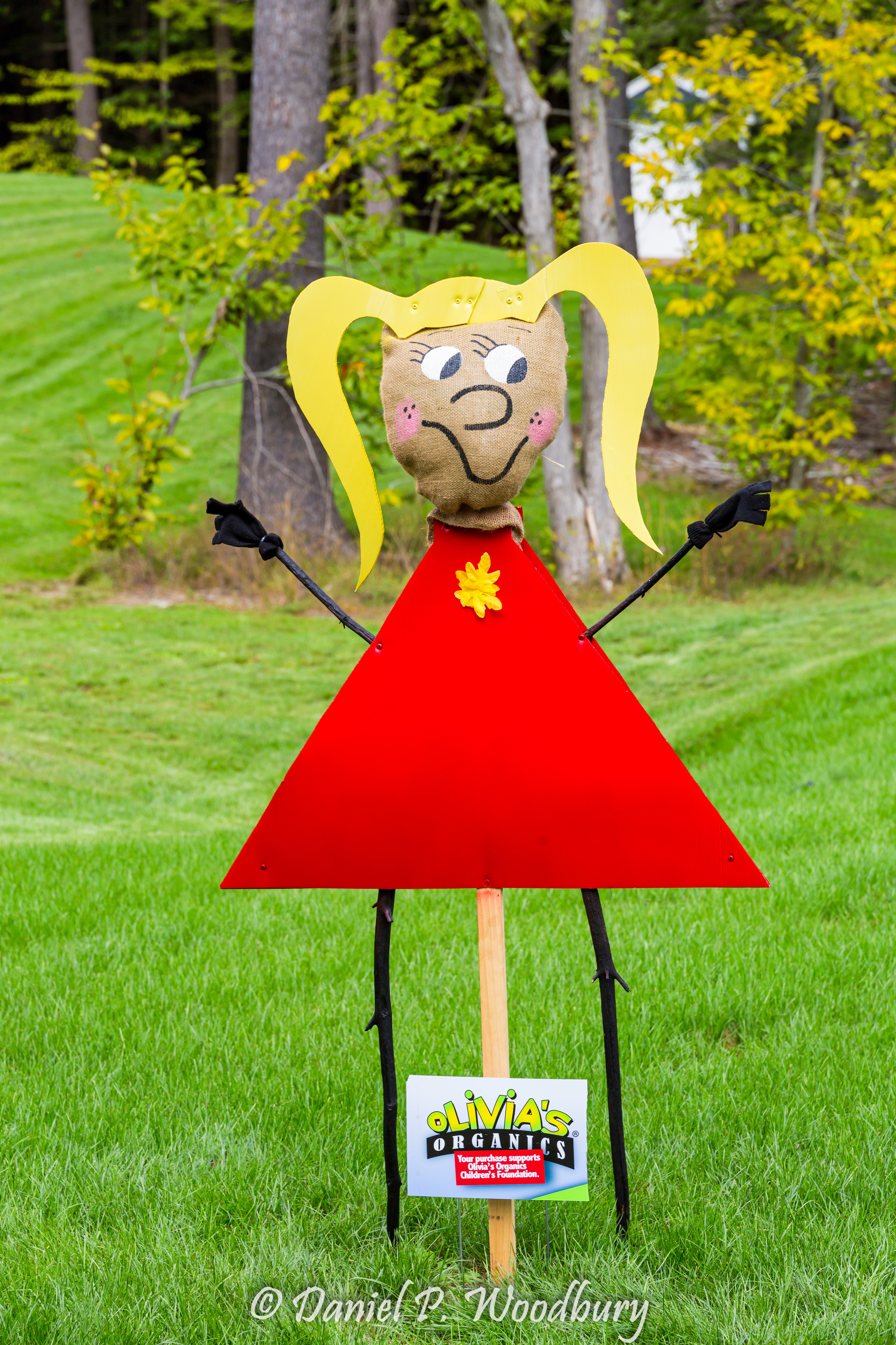 Olivia, The Organic Scarecrow