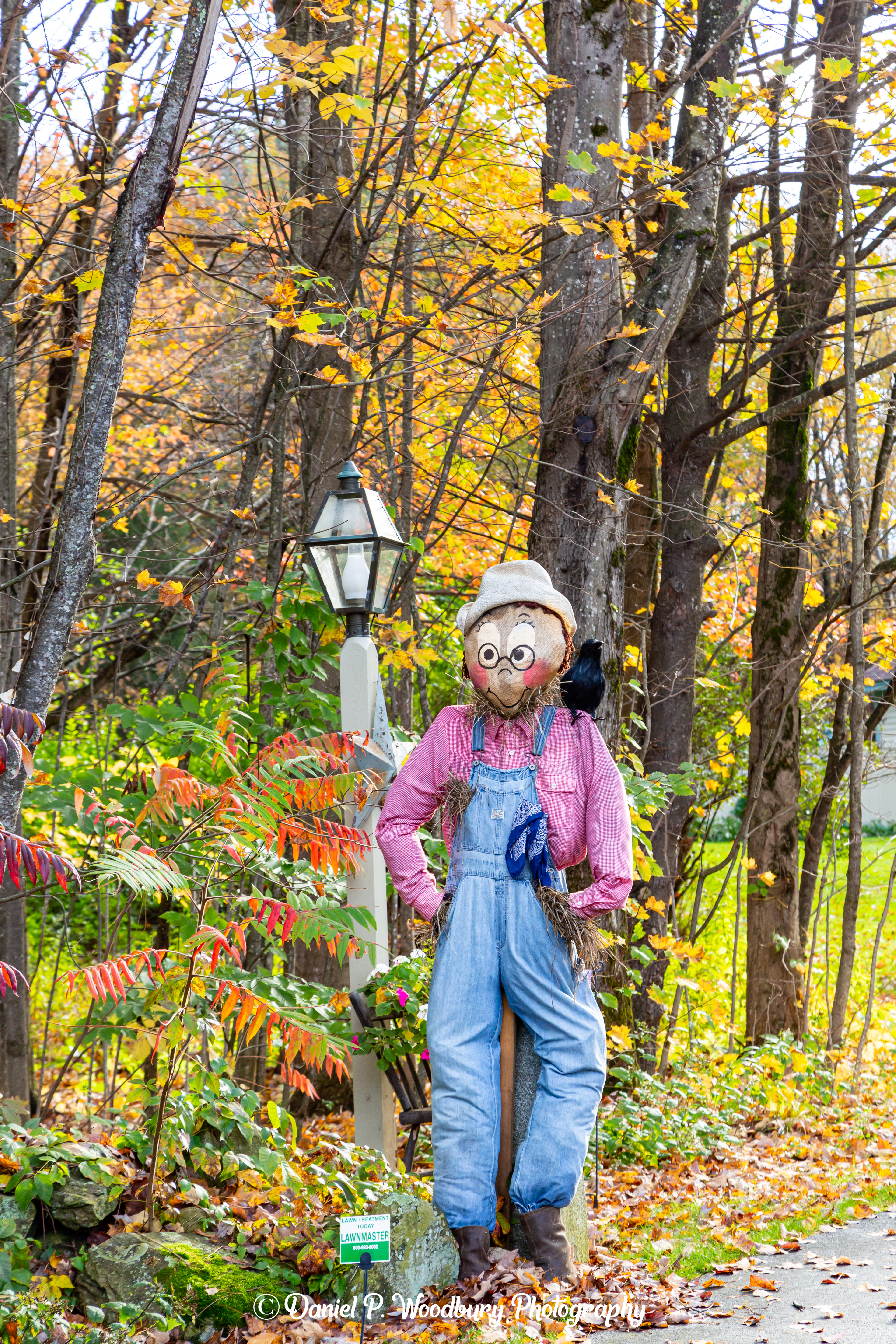 Scarecrow Scarecrow