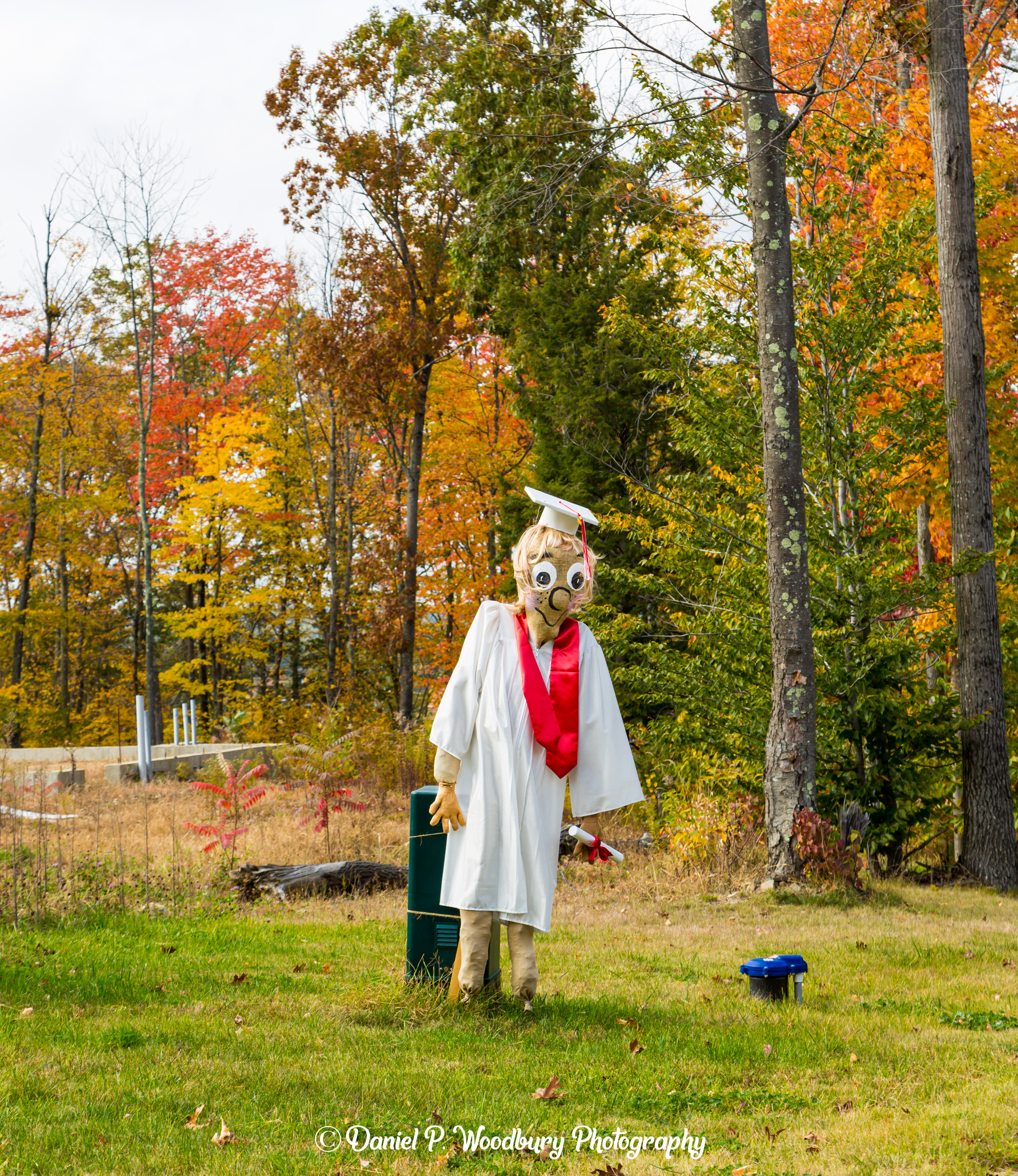 The Graduate Scarecrow