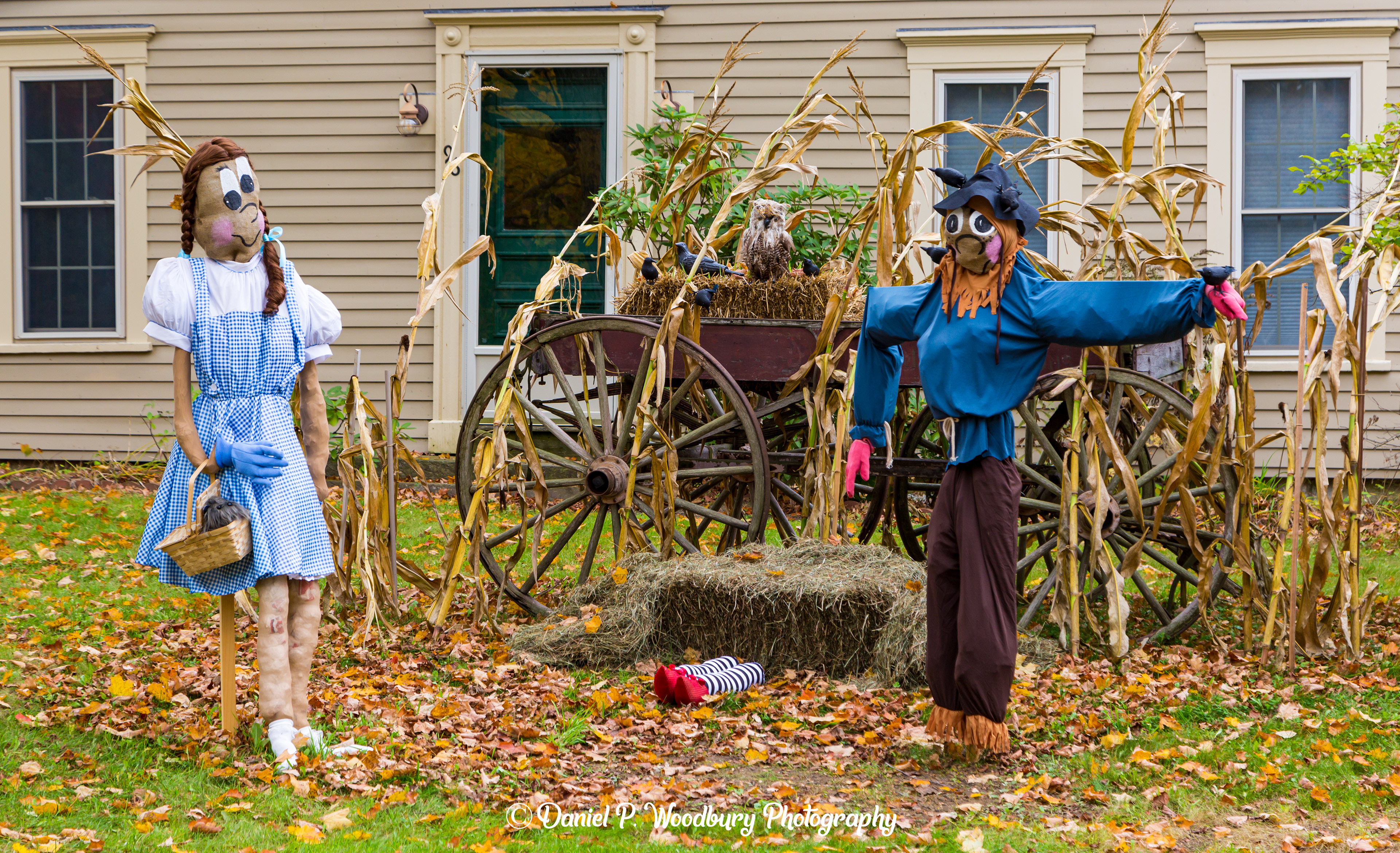 Wizard Of Oz Scarecrows