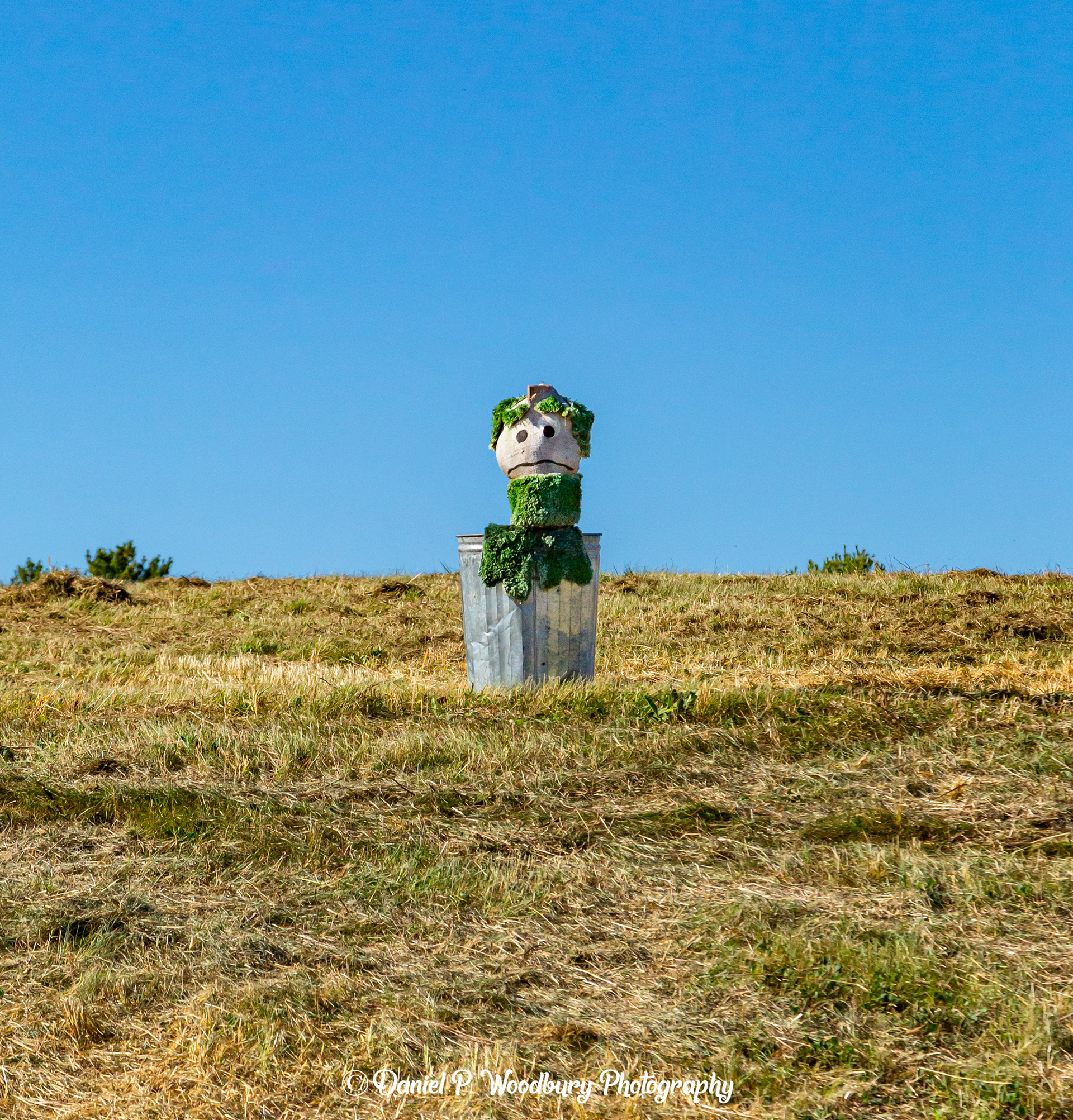 Oscar, The Grouch Scarecrow