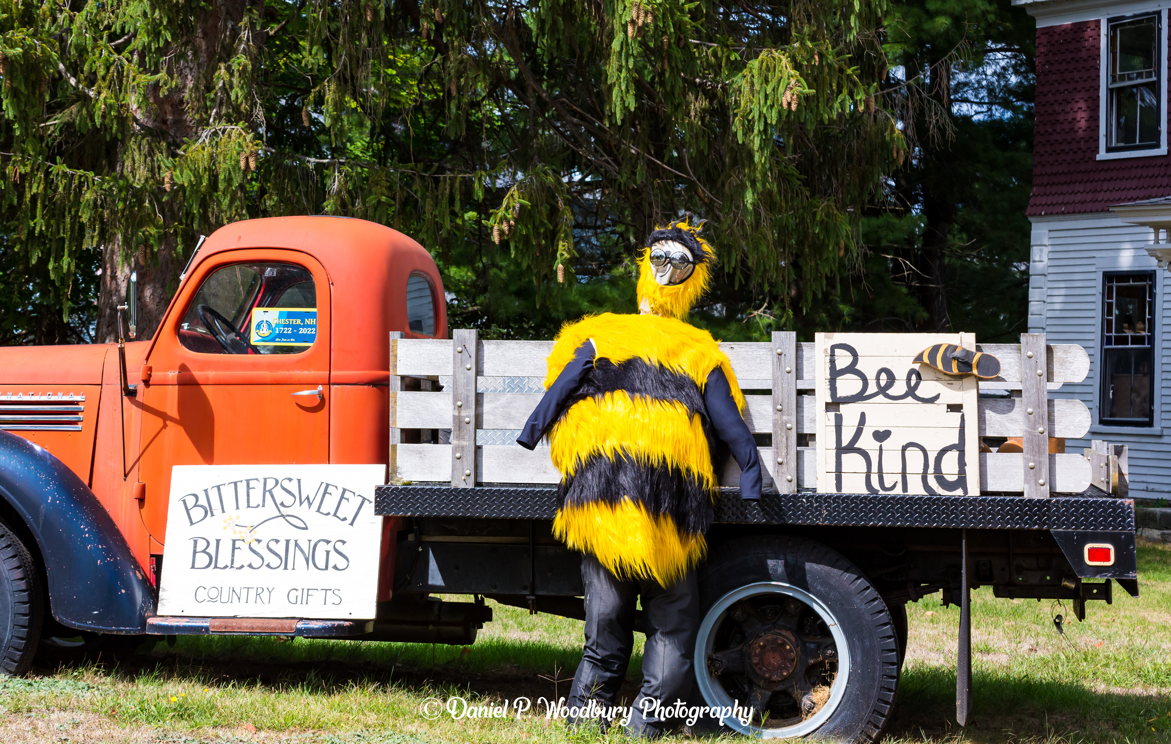 Humble Bee Scarecrow