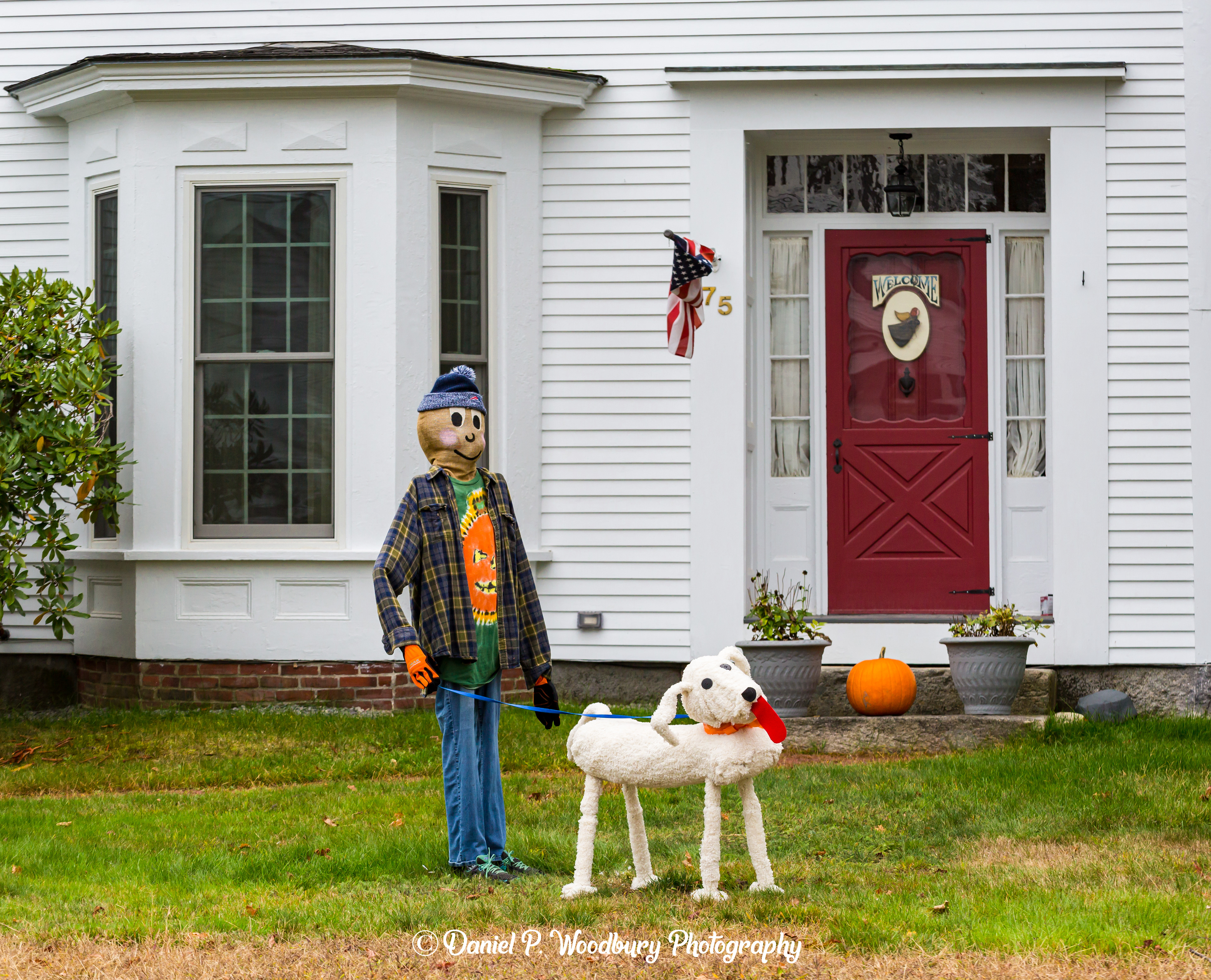 Guy & Doggy Scarecrows
