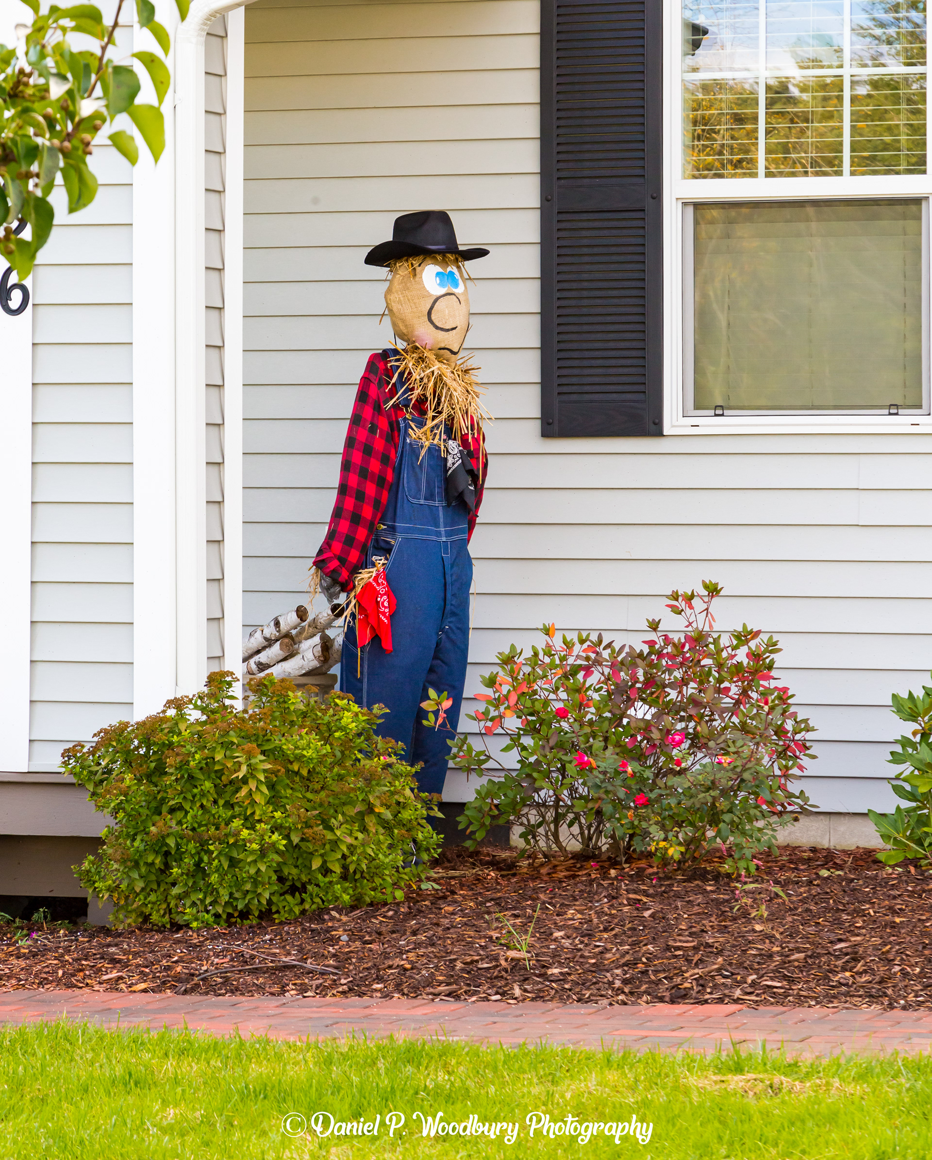 Gardenin' Scarecrow