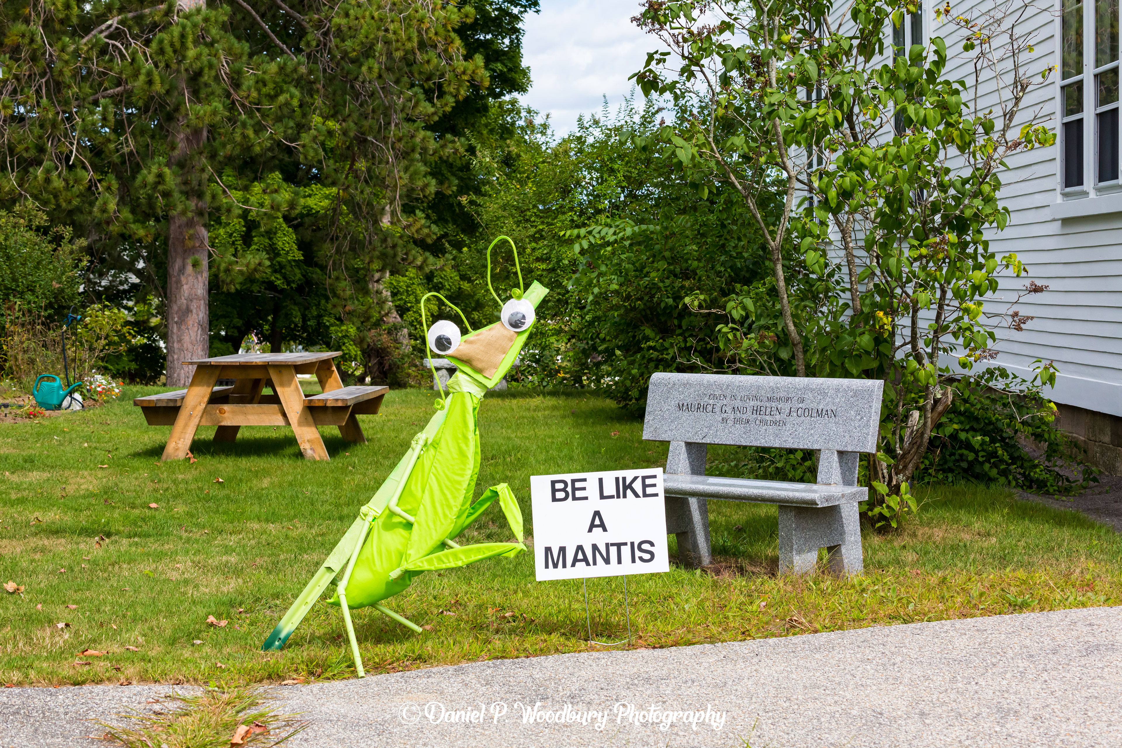 Prayin' Mantis Scarecrow