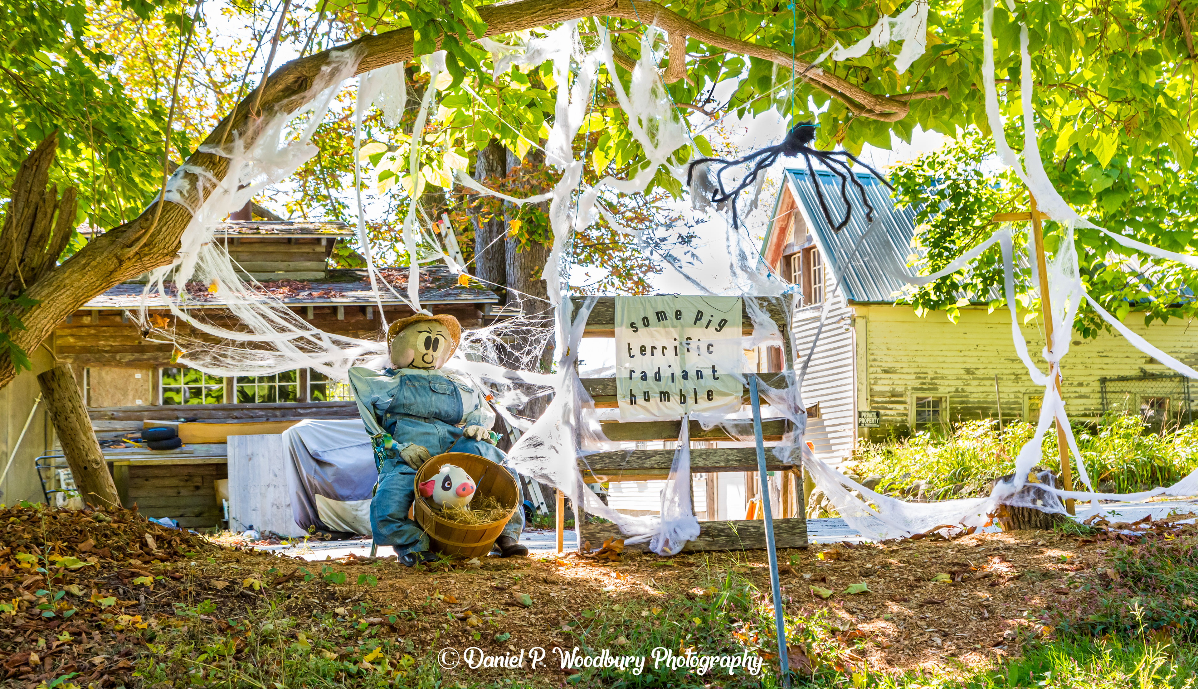 Charlotte's Web Scarecrow
