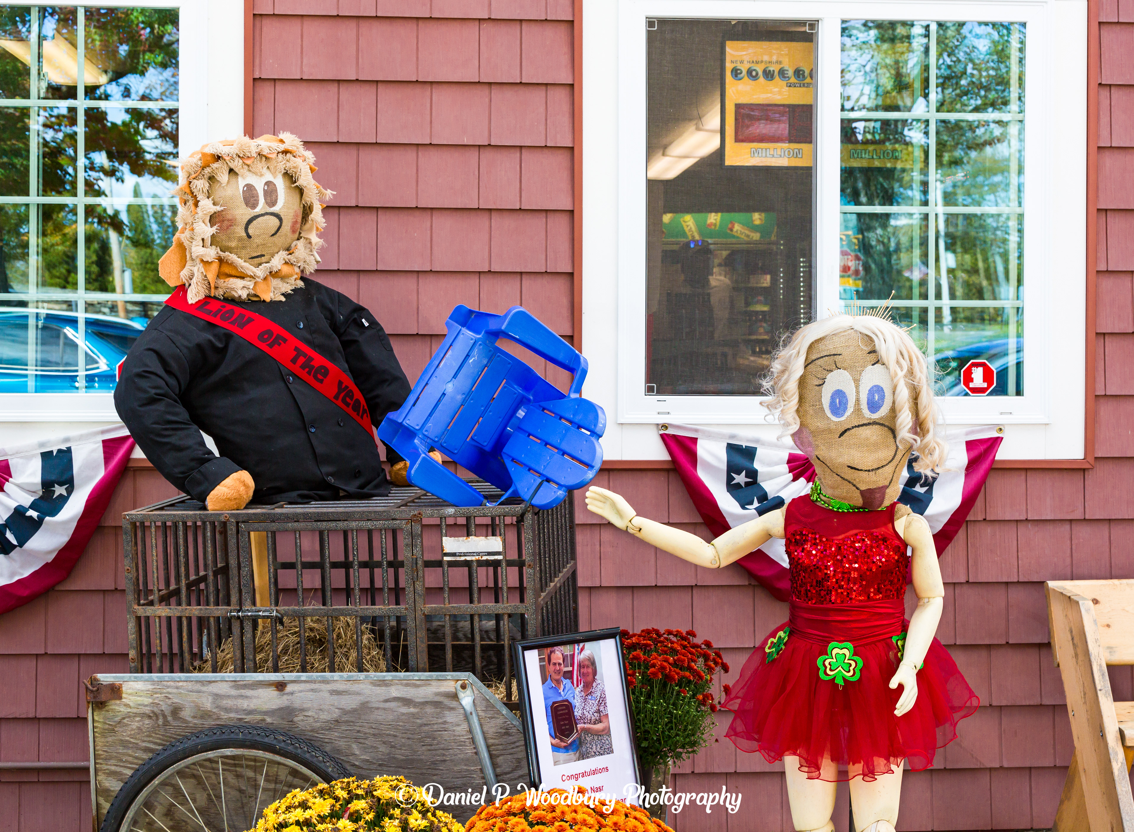 Mr. Lion & Trainer Scarecrows