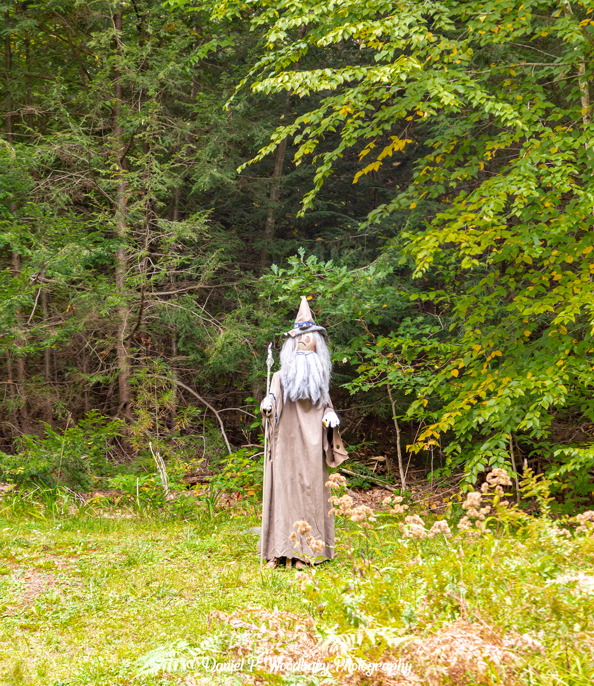 Gandalf Scarecrow