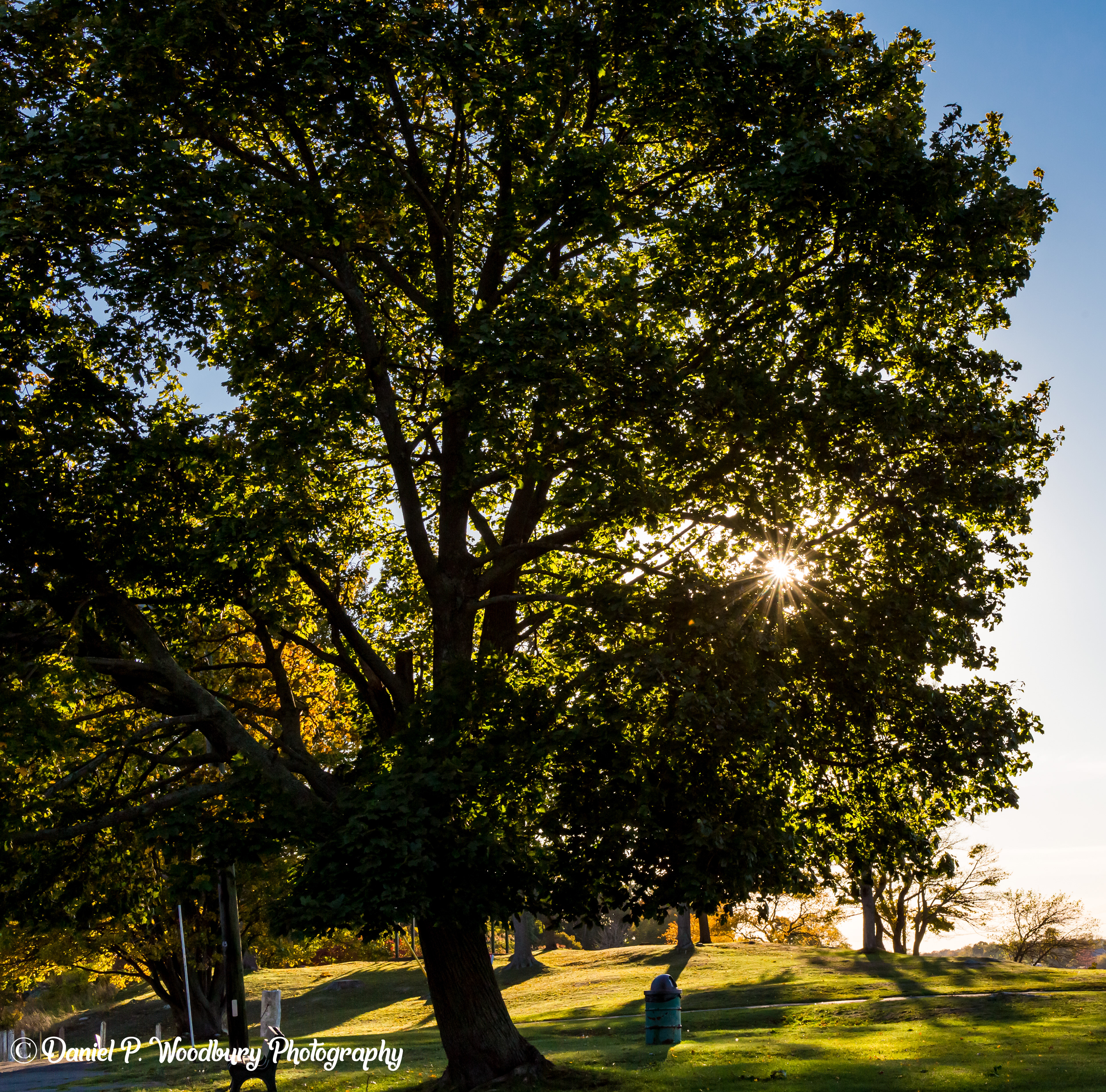 Willows Park-Salem, MA