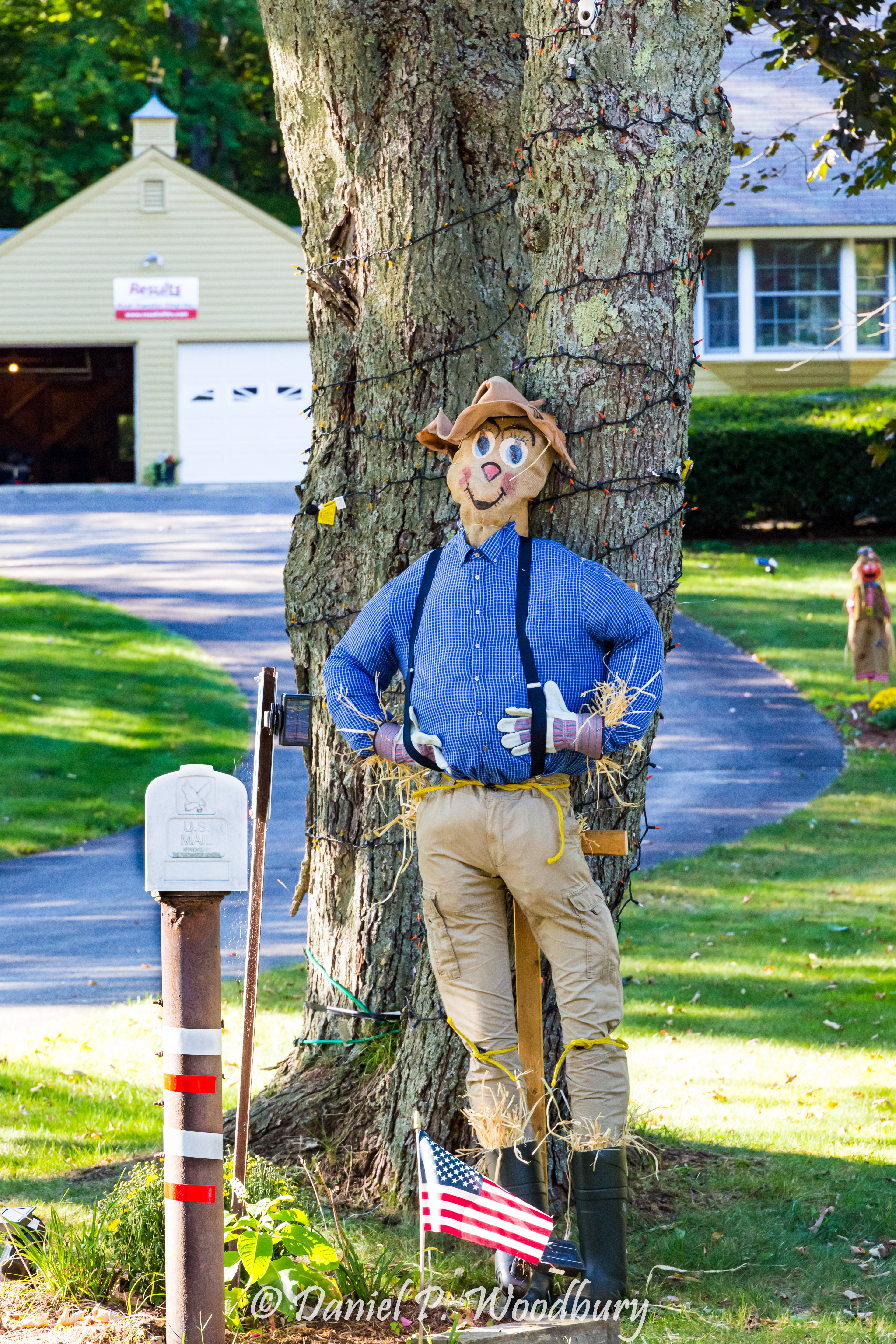 Scarecrow Scarecrow