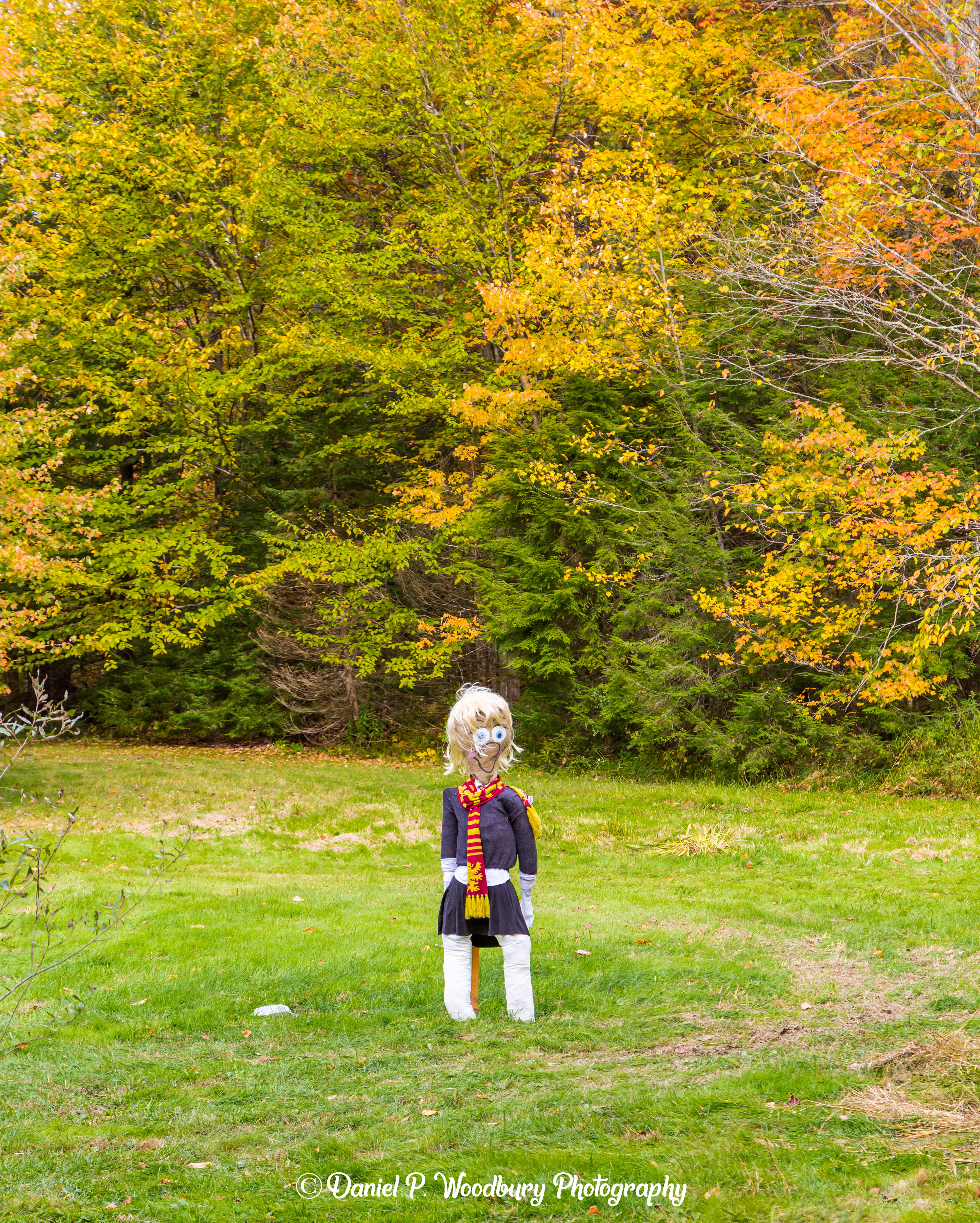 Hermione Scarecrow