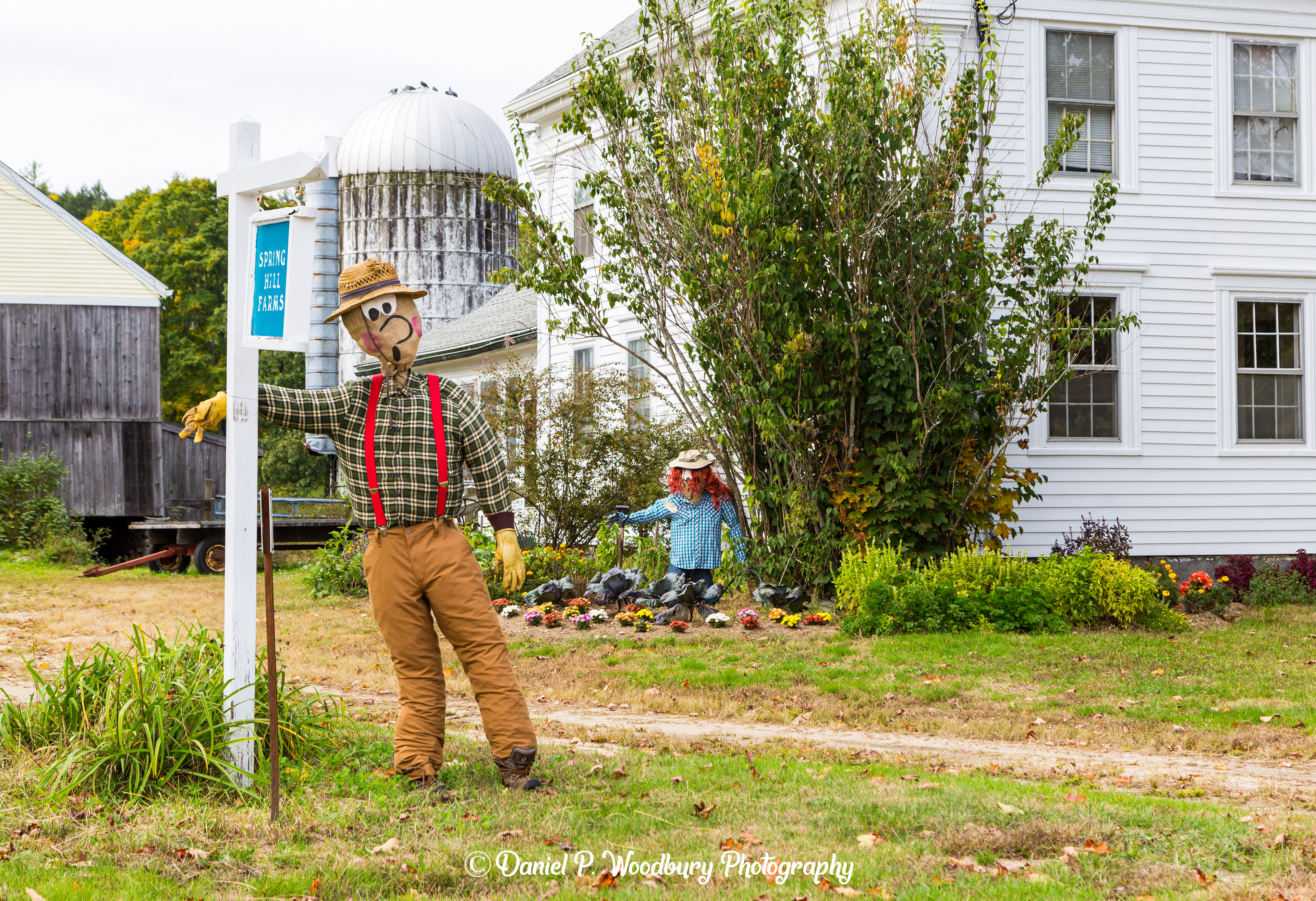 Farmer Scarecrows