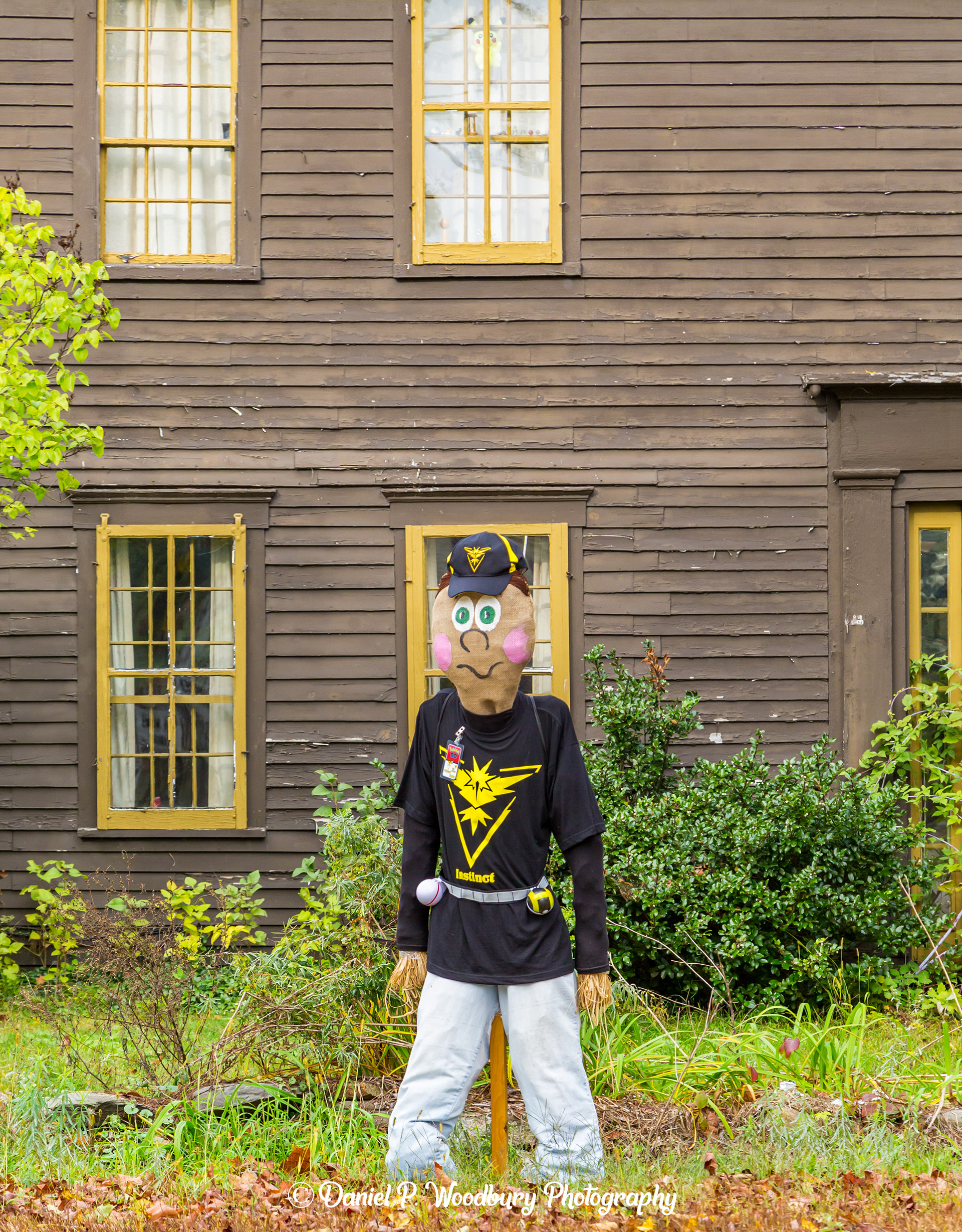 Team Instinct Scarecrow