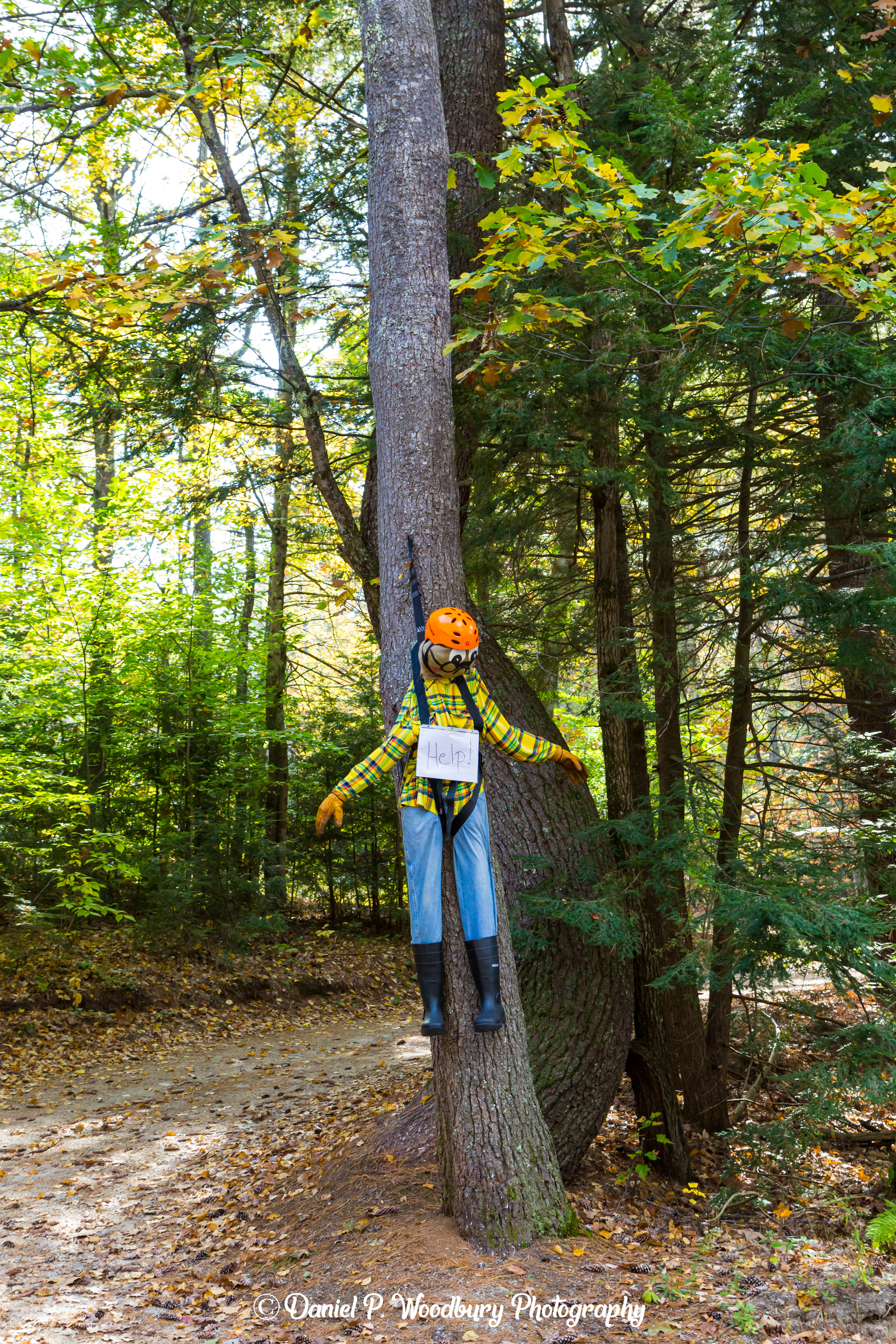 Parachutin' Scarecrow