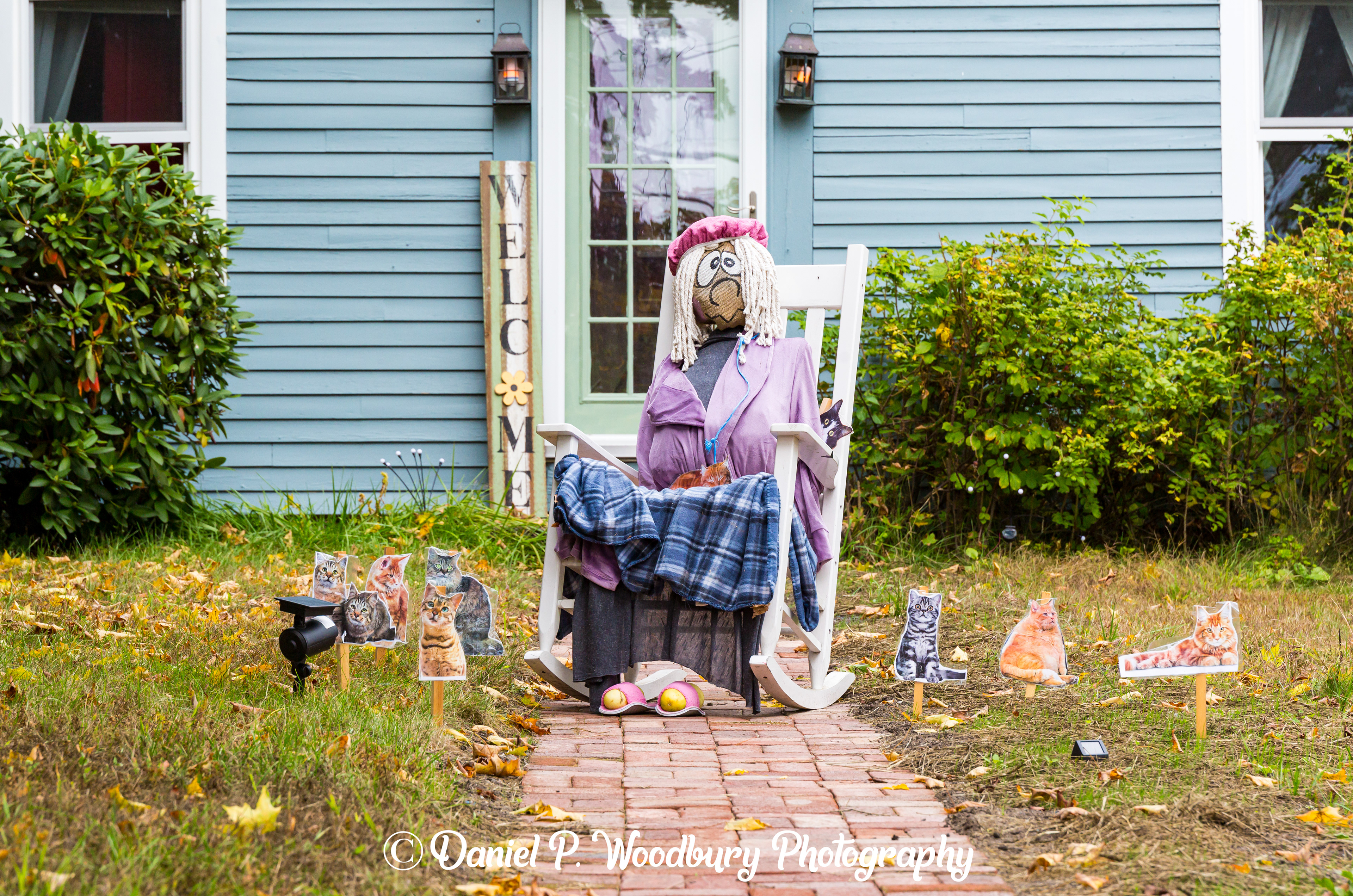 Crazy Cat Lady Scarecrow