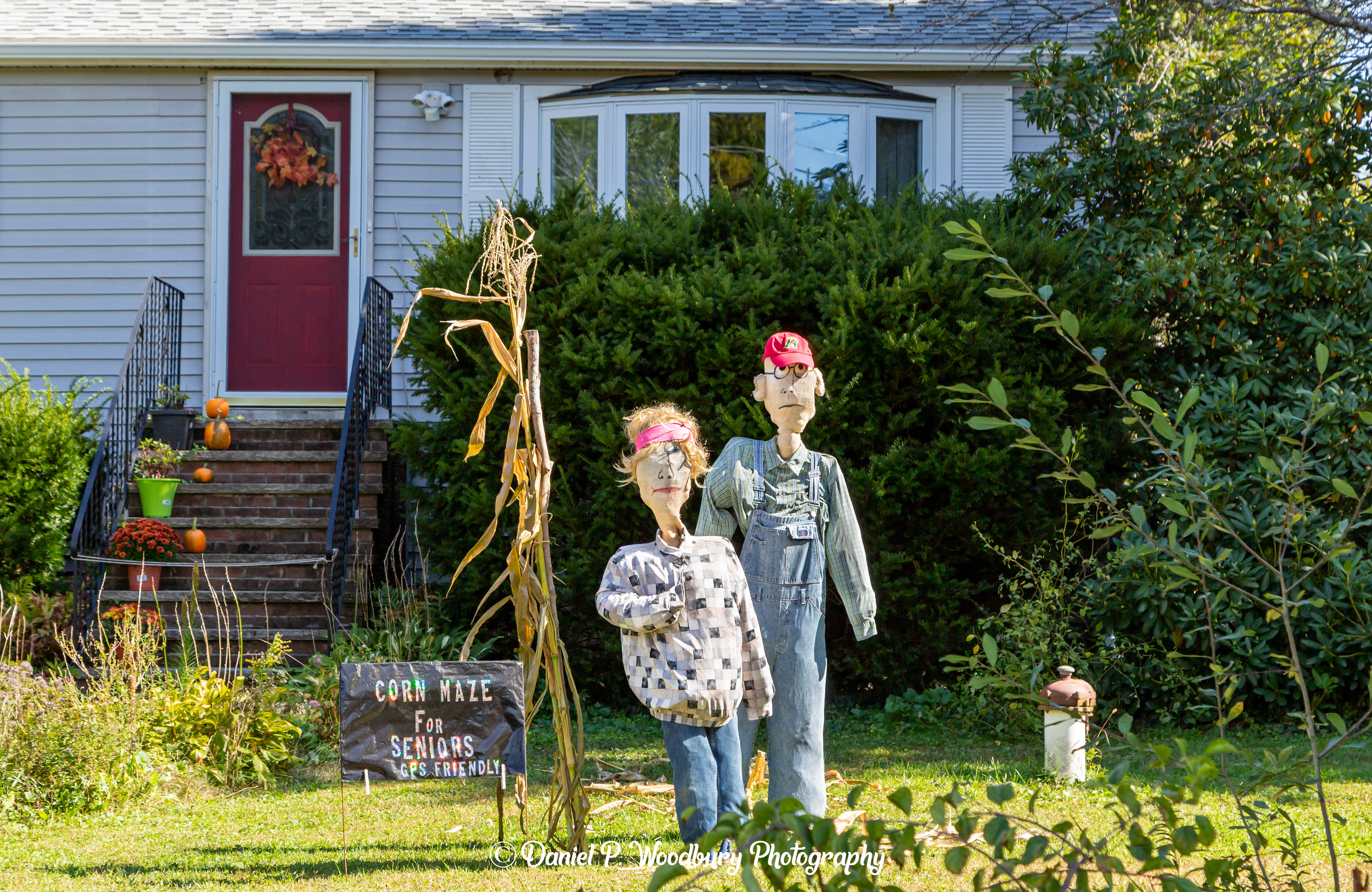 Corn Maze For Seniors Scarecrows