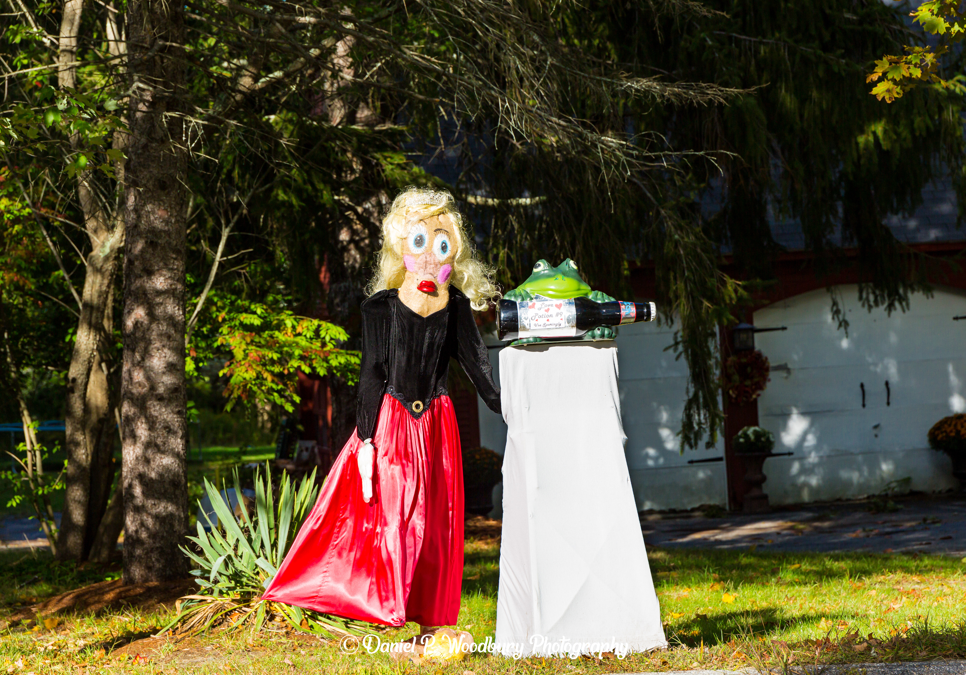 The Princess & The Frog Scarecrow