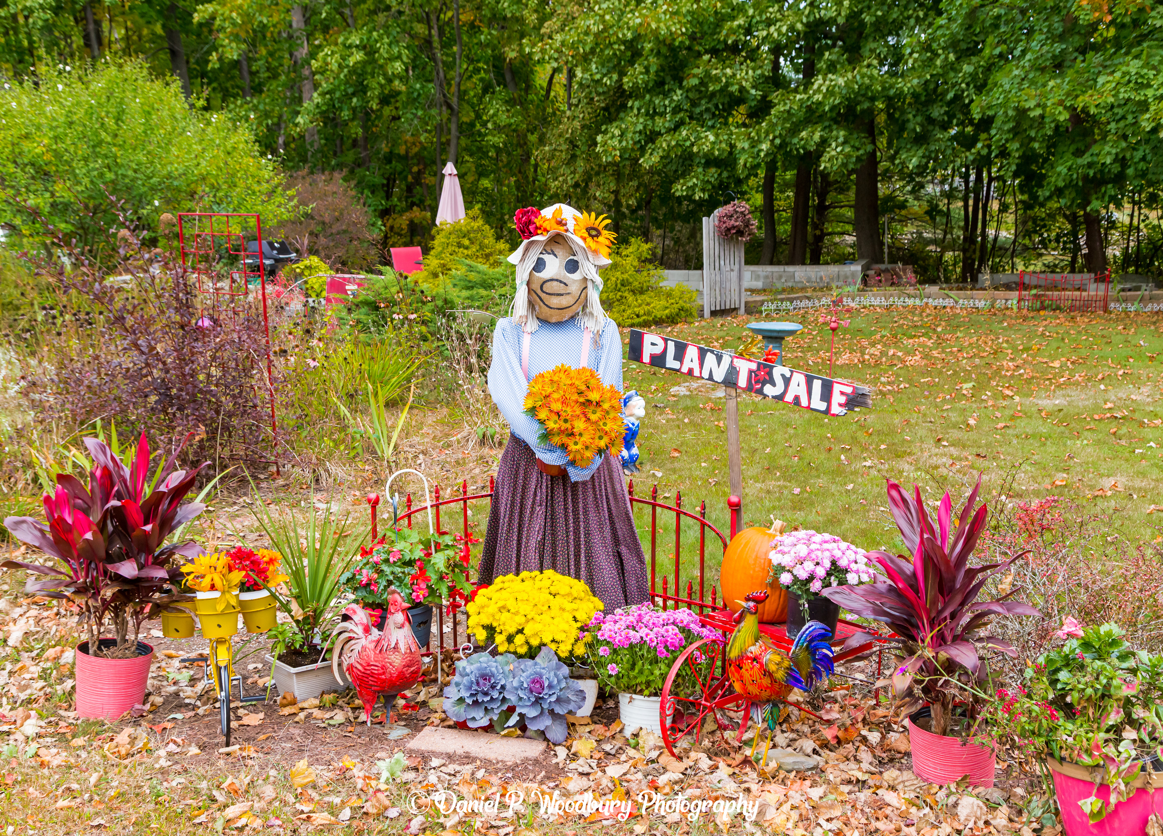 Flower Girl Scarecrow