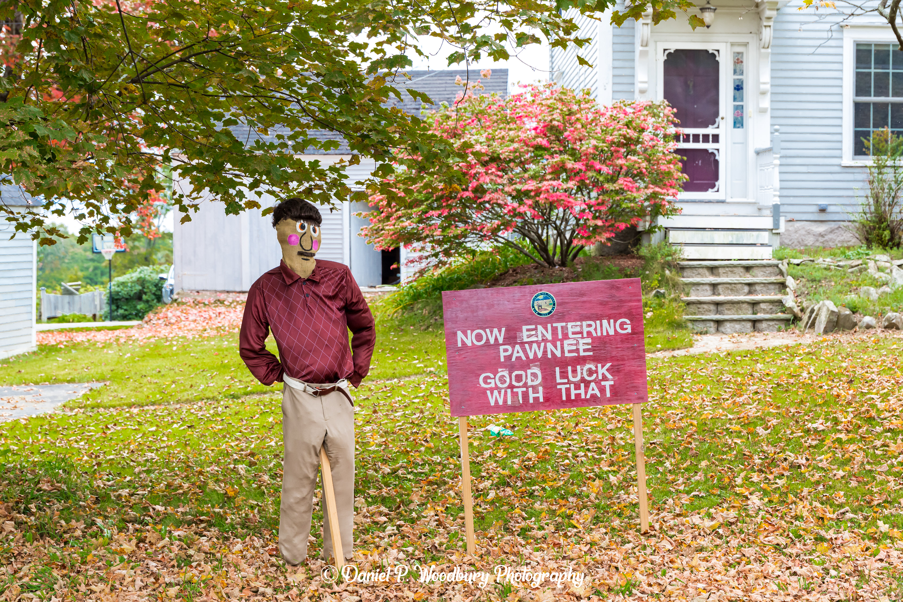 Ron Swanson Scarecrow