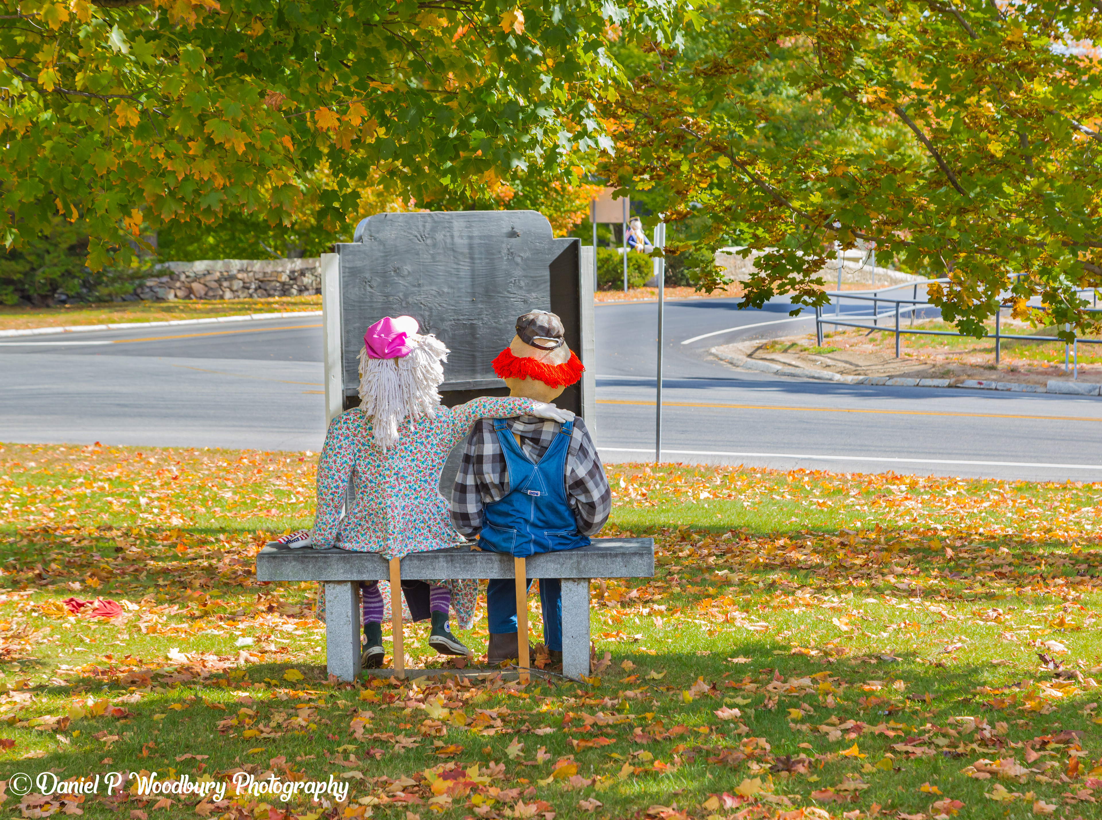 The Couple Scarecrows