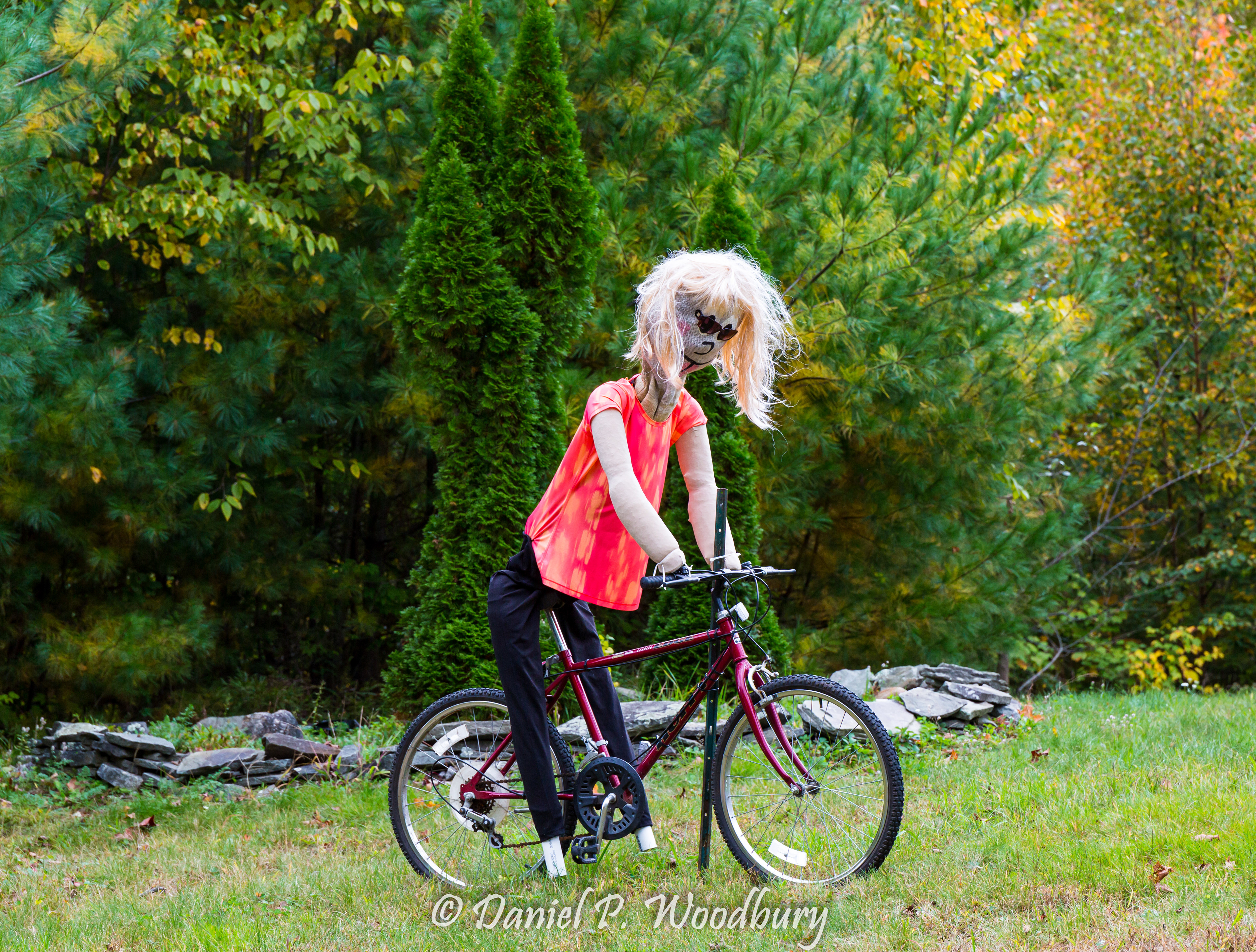 Bike Ridin' Scarecrow