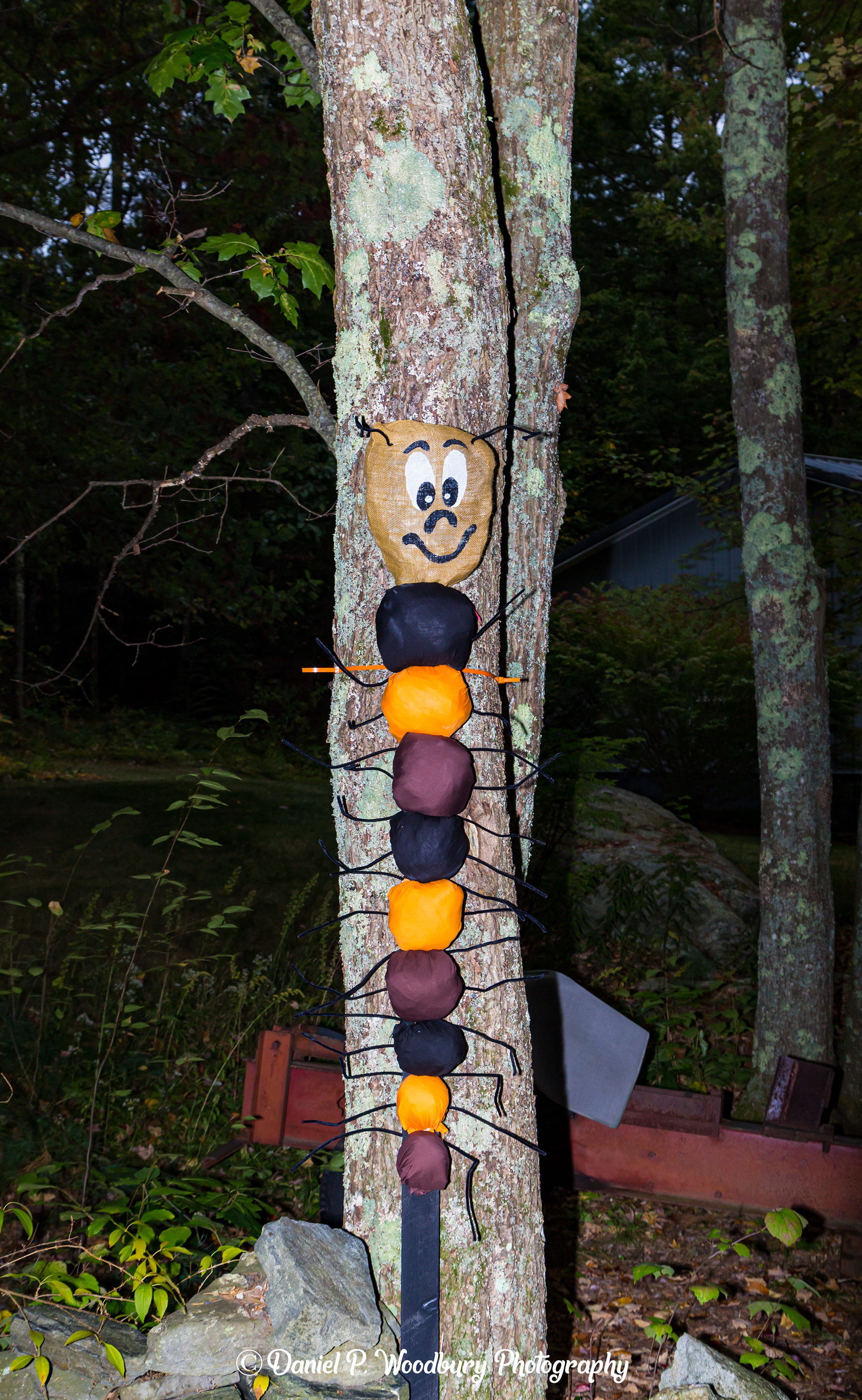 Caterpillar Scarecrow