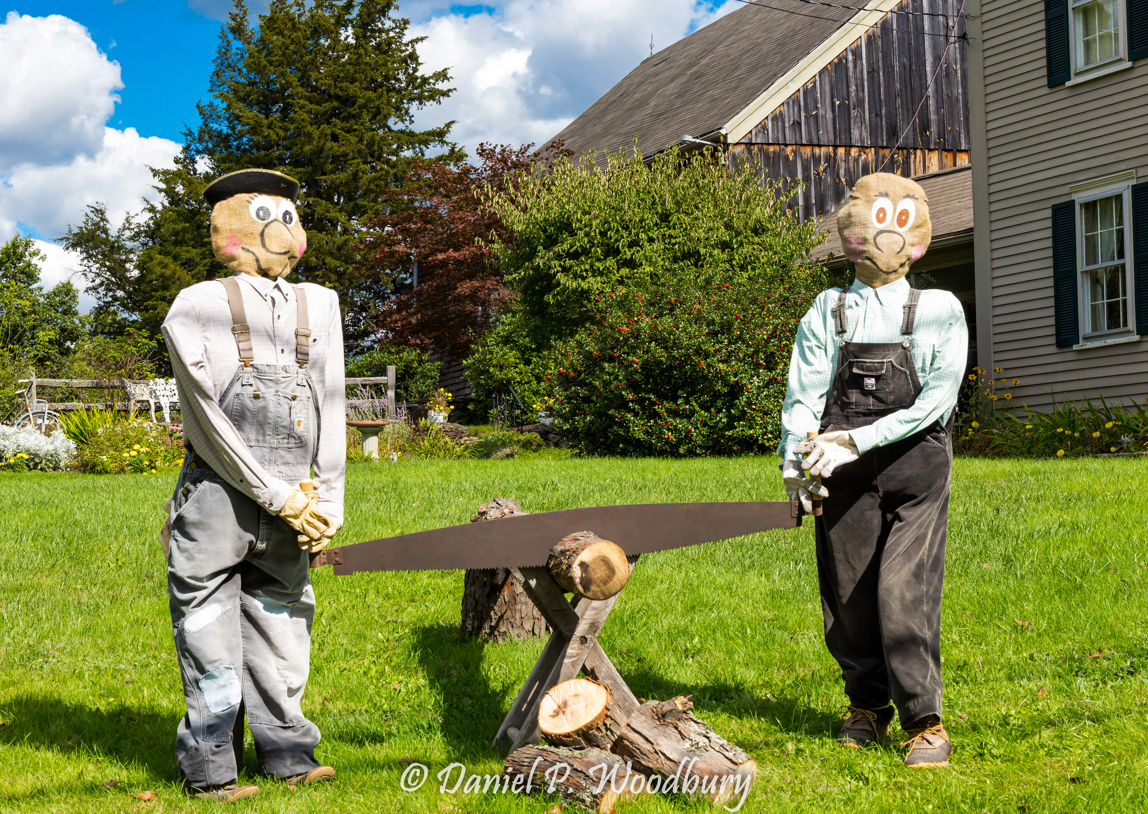 Sawin' Scarecrows