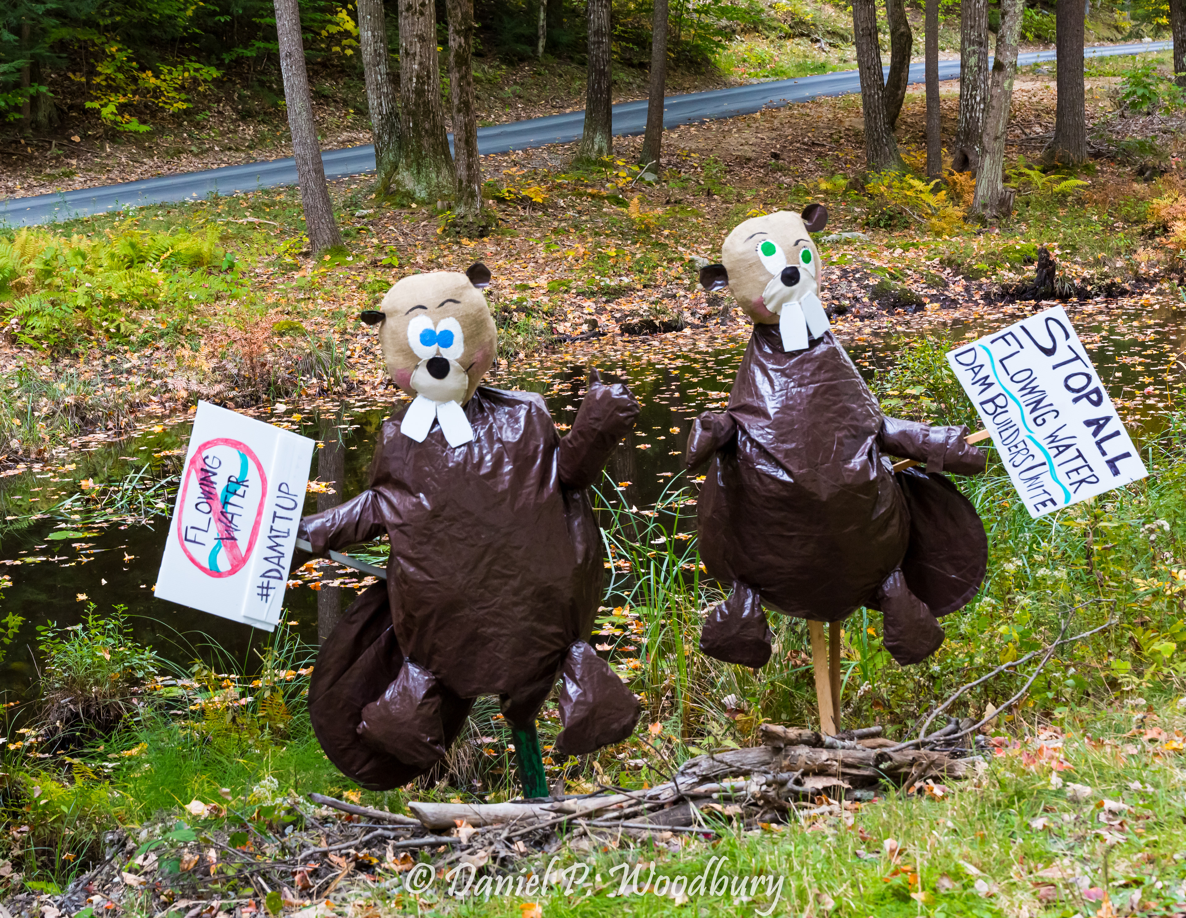 Protestin' Beaver Scarecrows