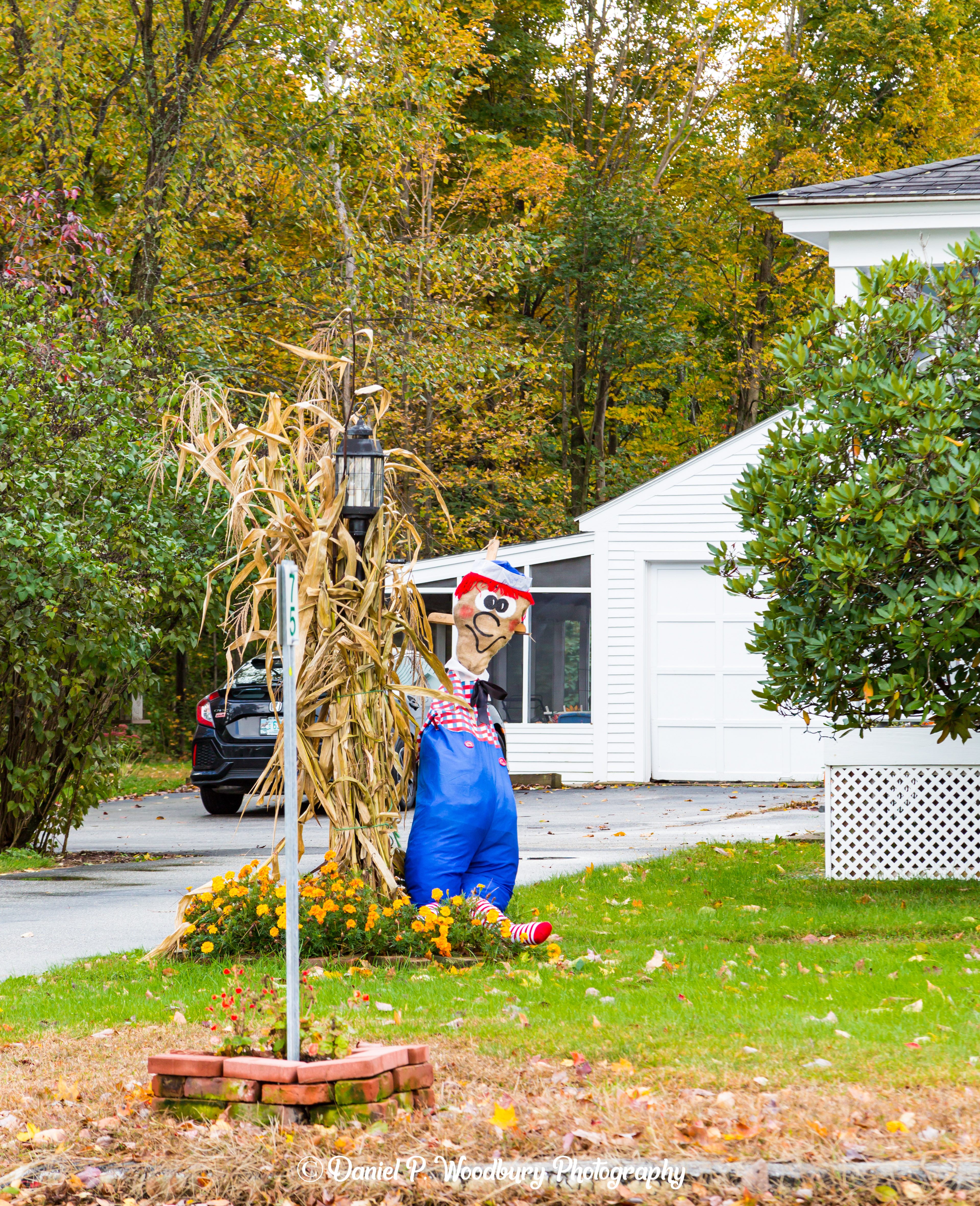 Raggedy Scarecrow