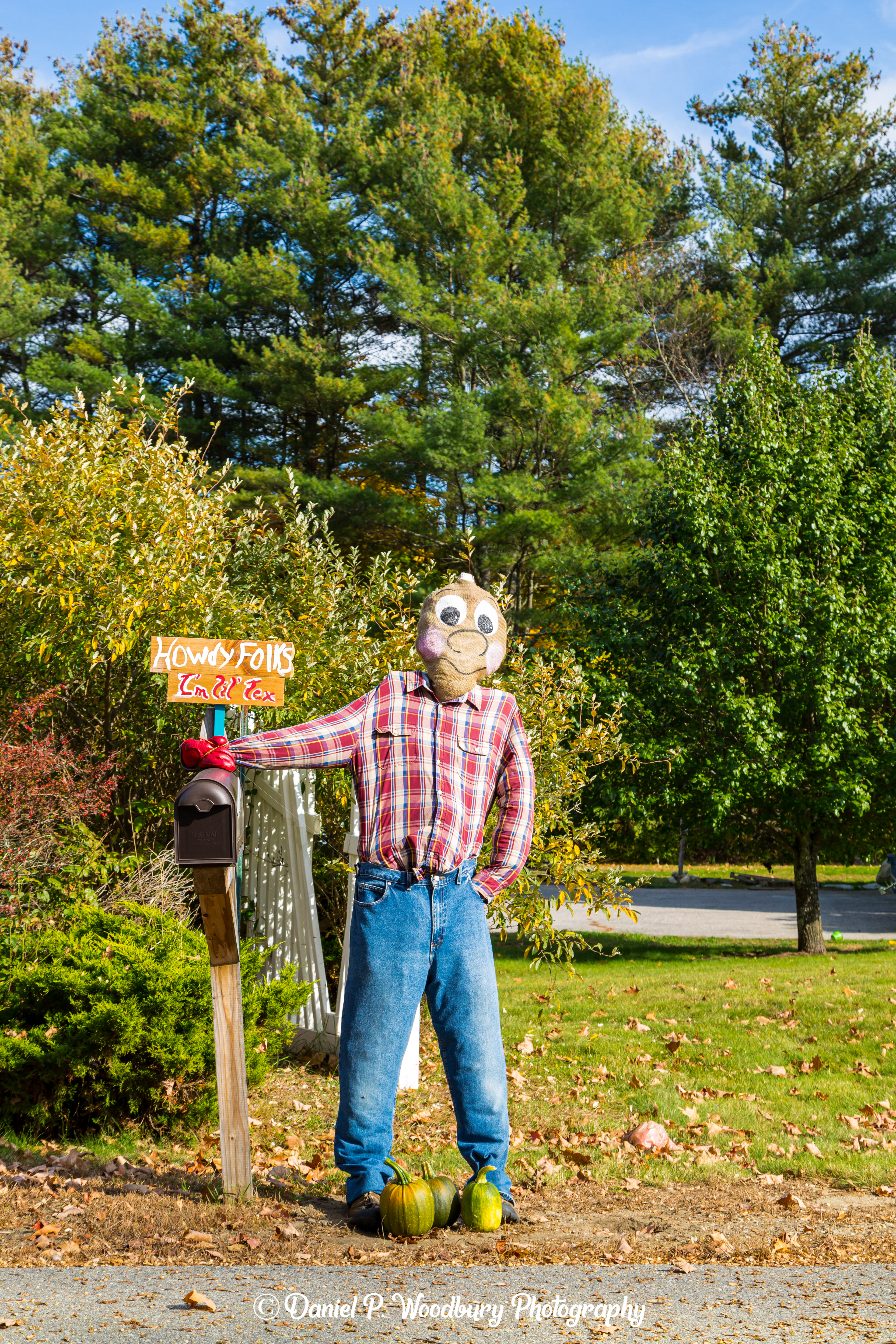 Texan Scarecrow