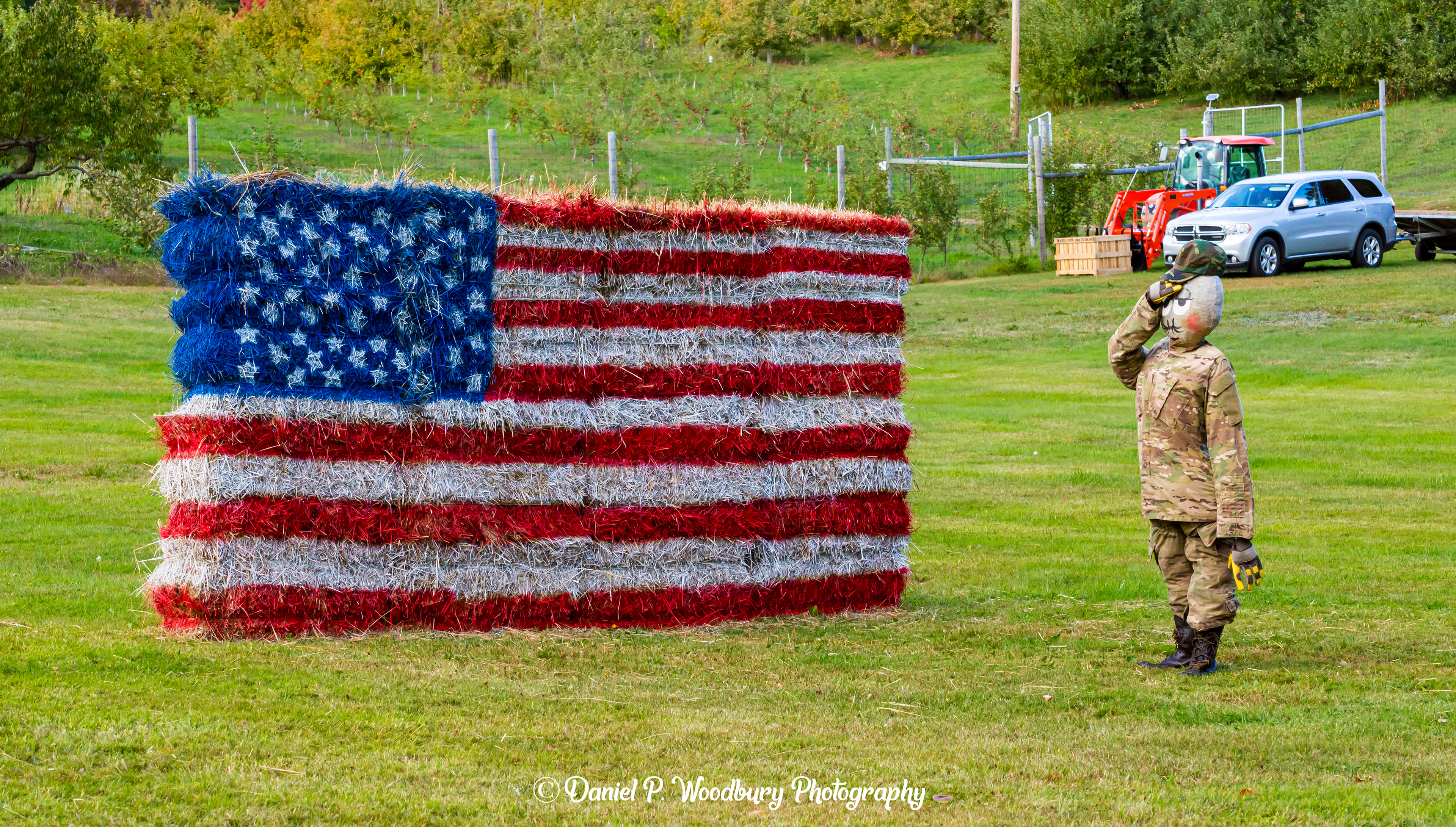 Flag Salutin Scarecrow