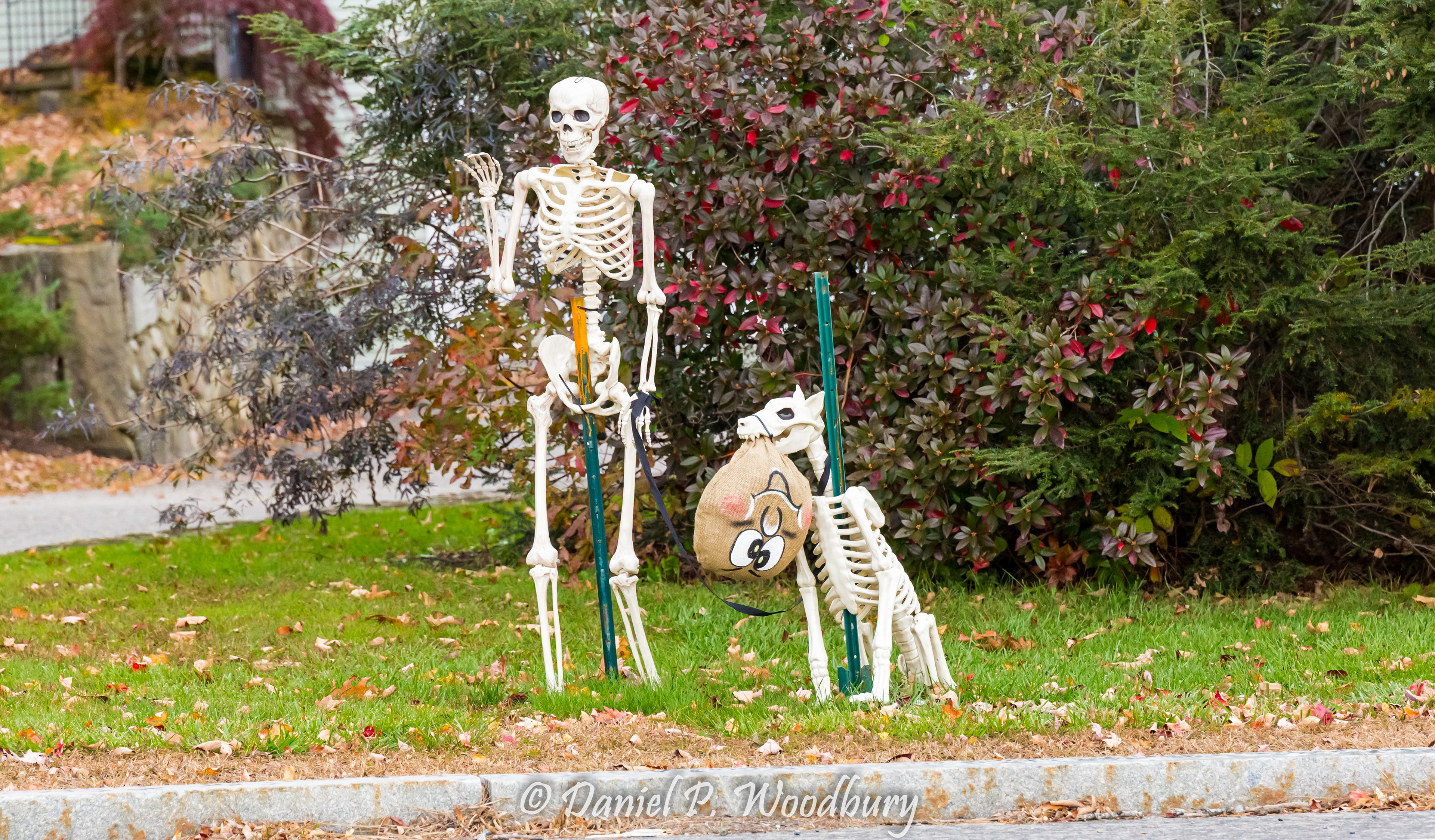 Dead Dog Fetchin' Scarecrow