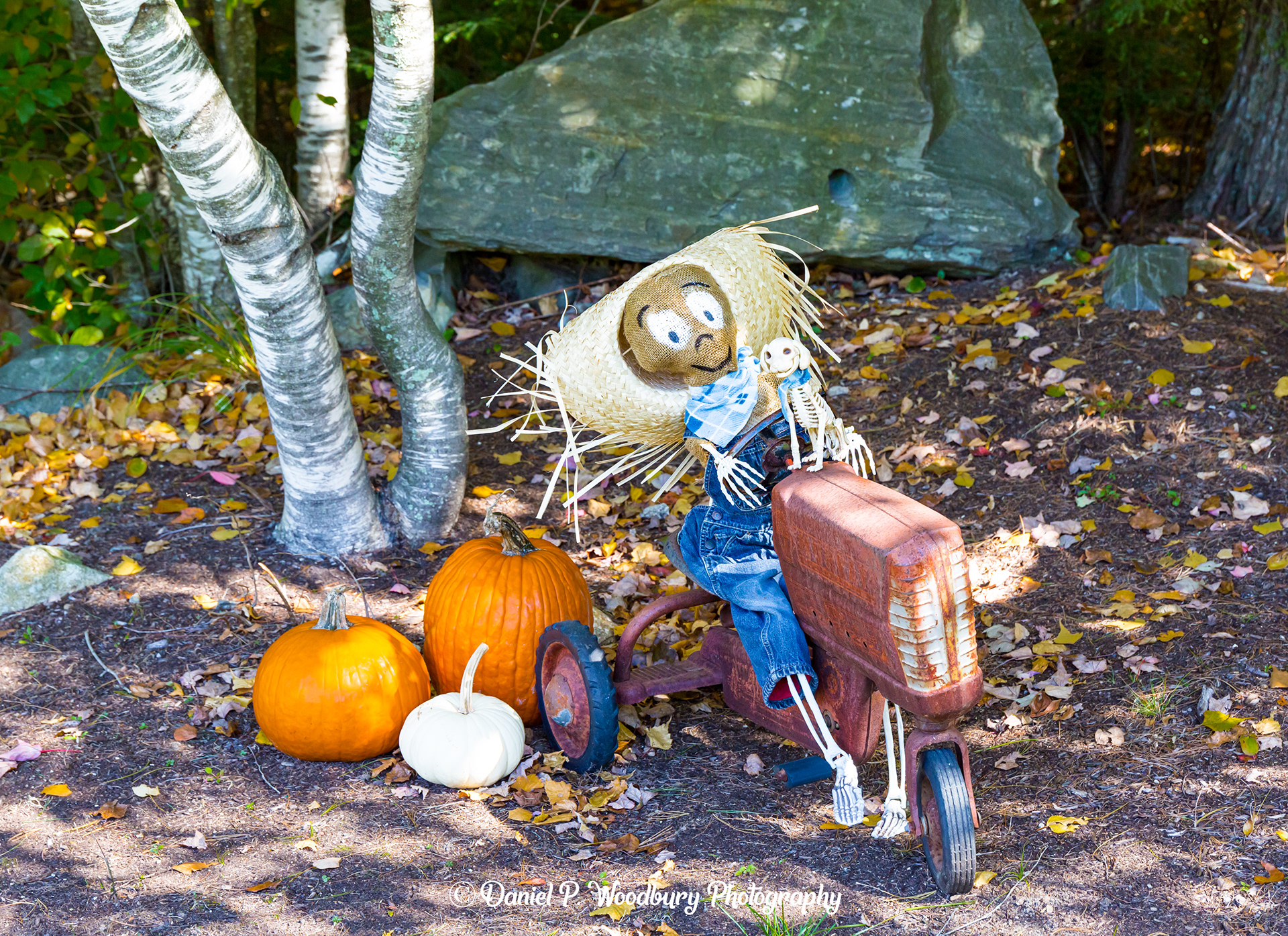 DPWPhotography Scarecrows of Chester, NH (2022)