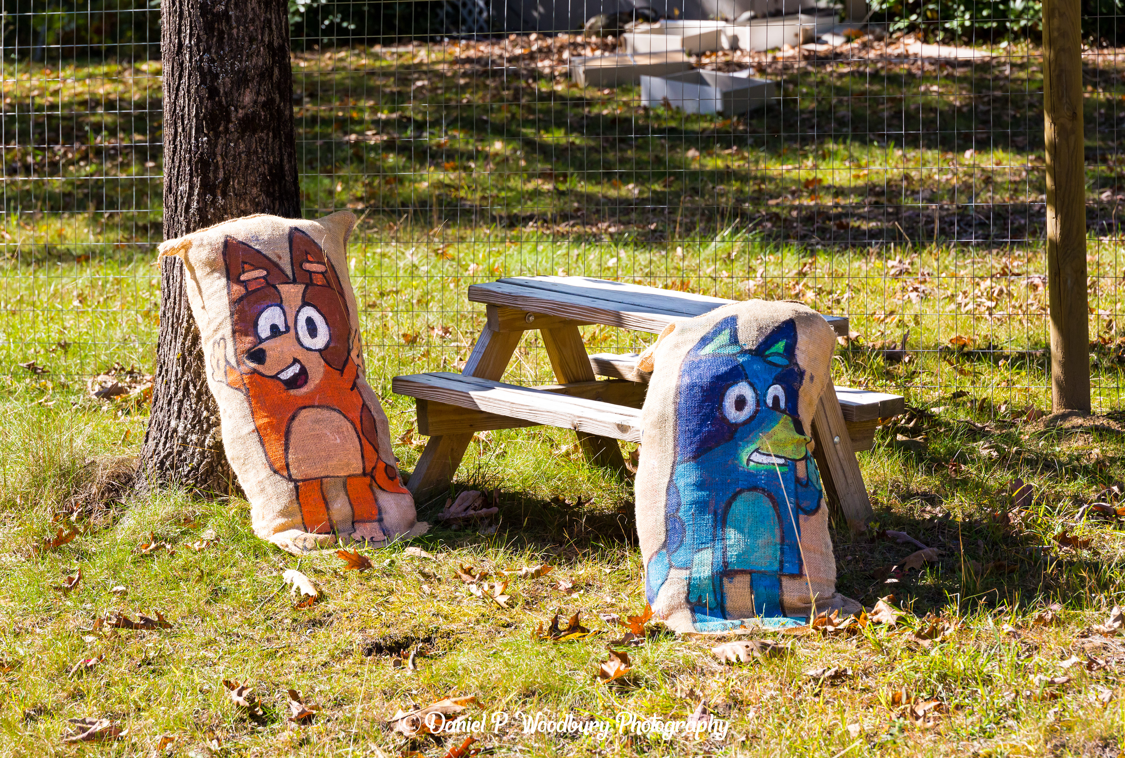 Bingo & Bluey Scarecrows