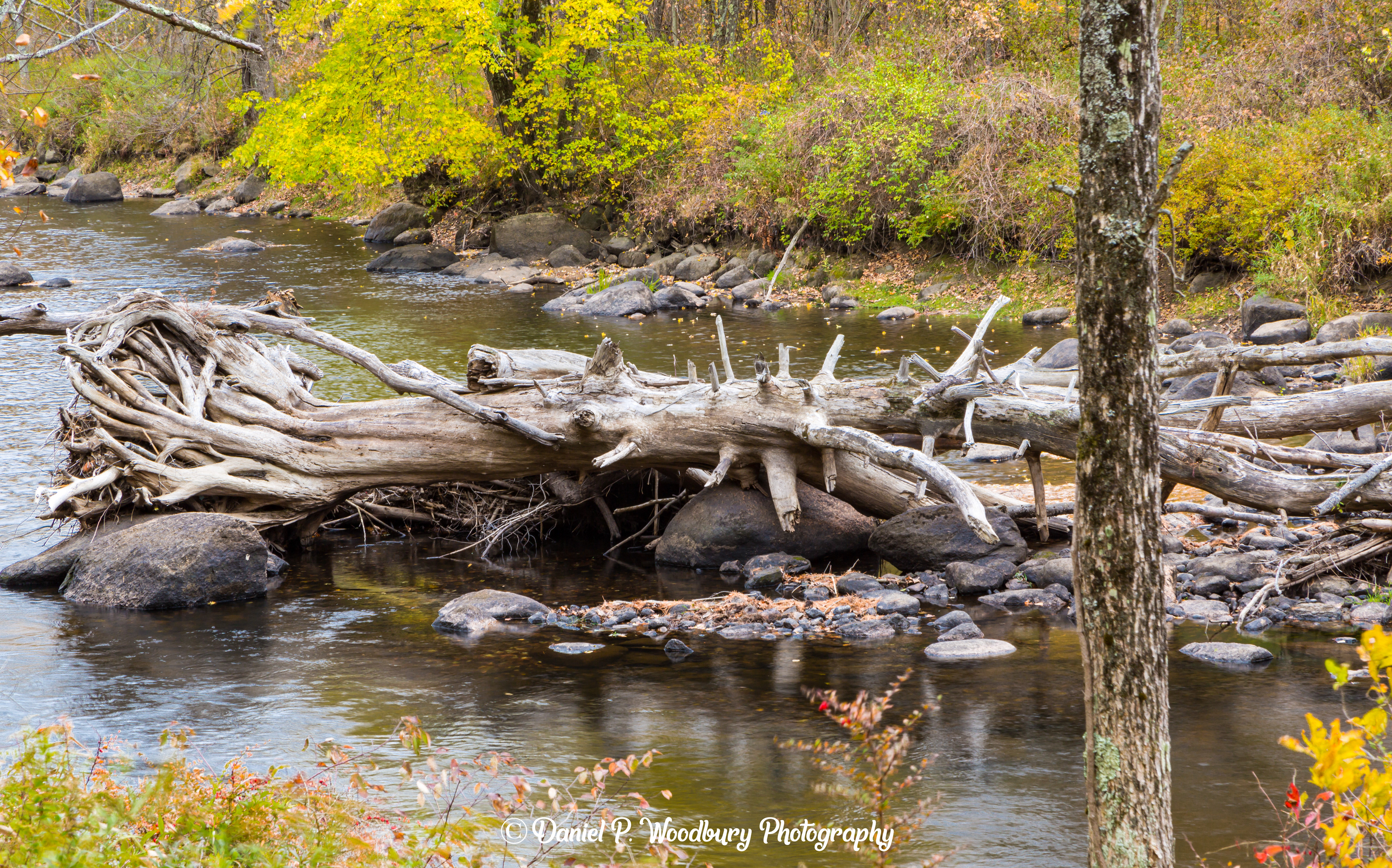 Down In The Ashuelot