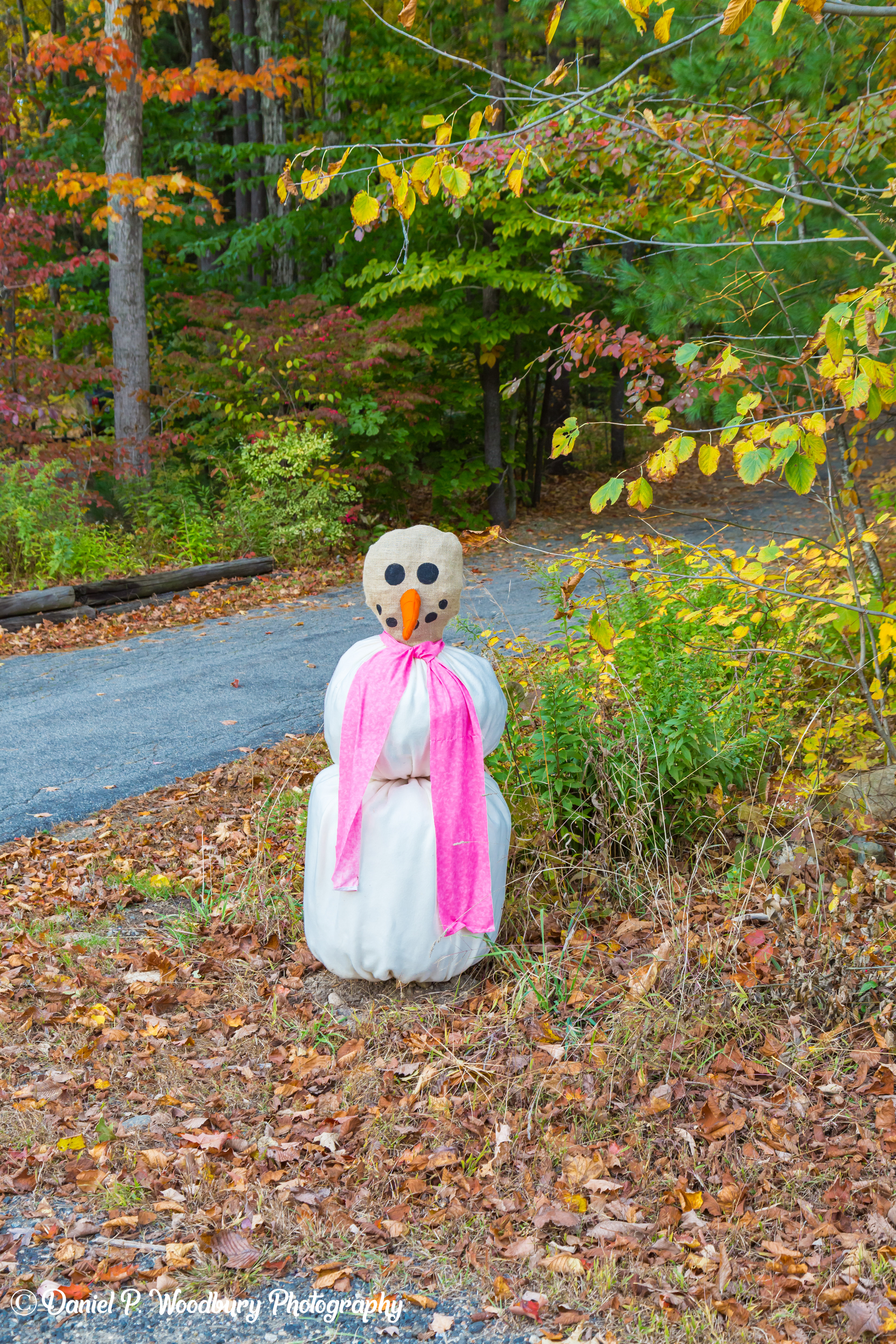 Snowman Scarecrow